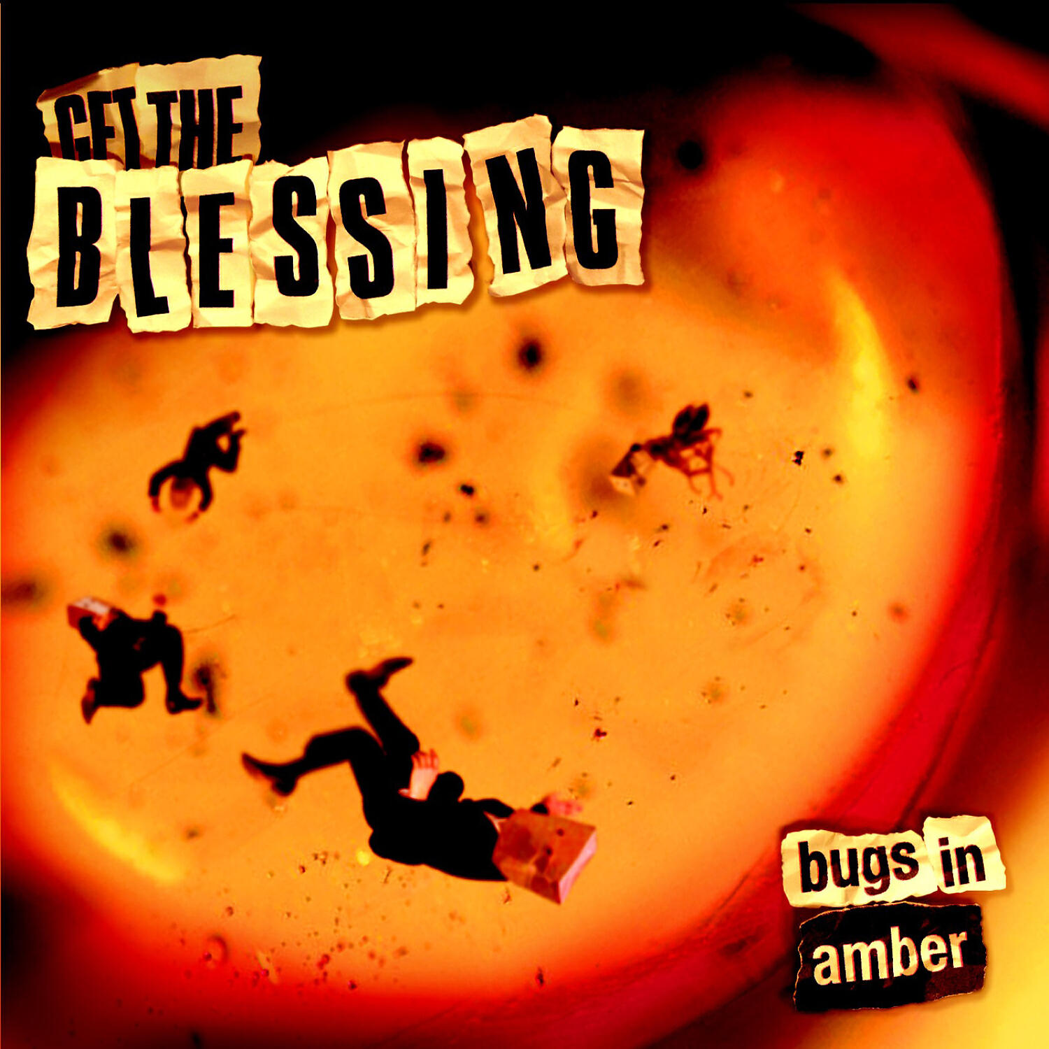 Релиз Bugs in Amber