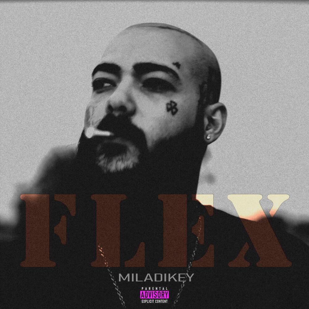 Релиз Flex