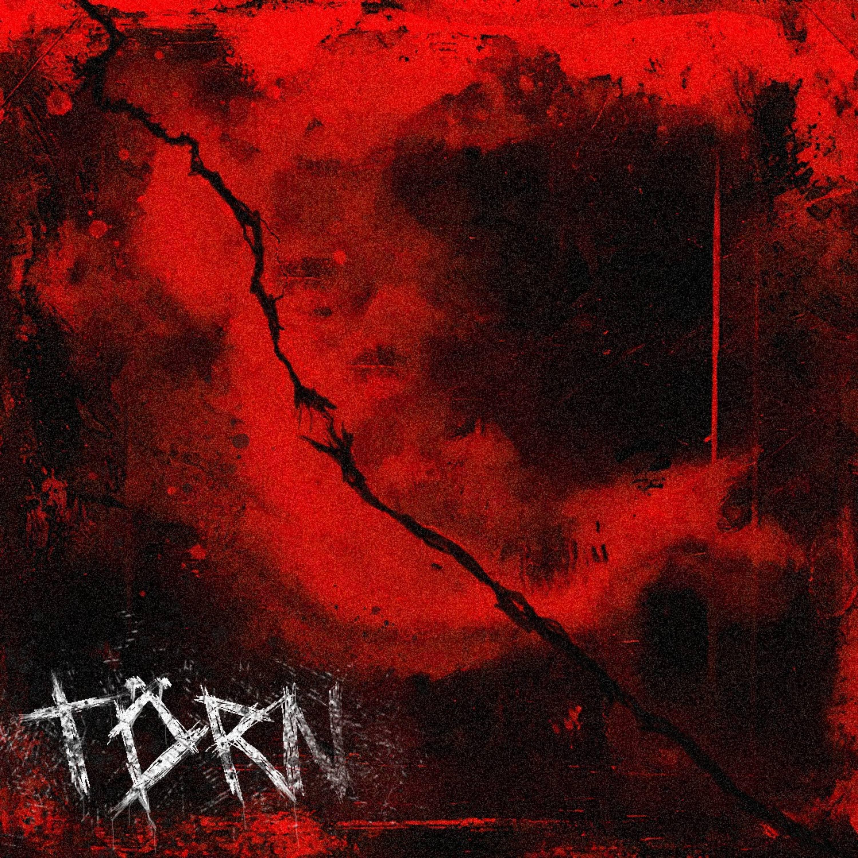 Релиз Torn