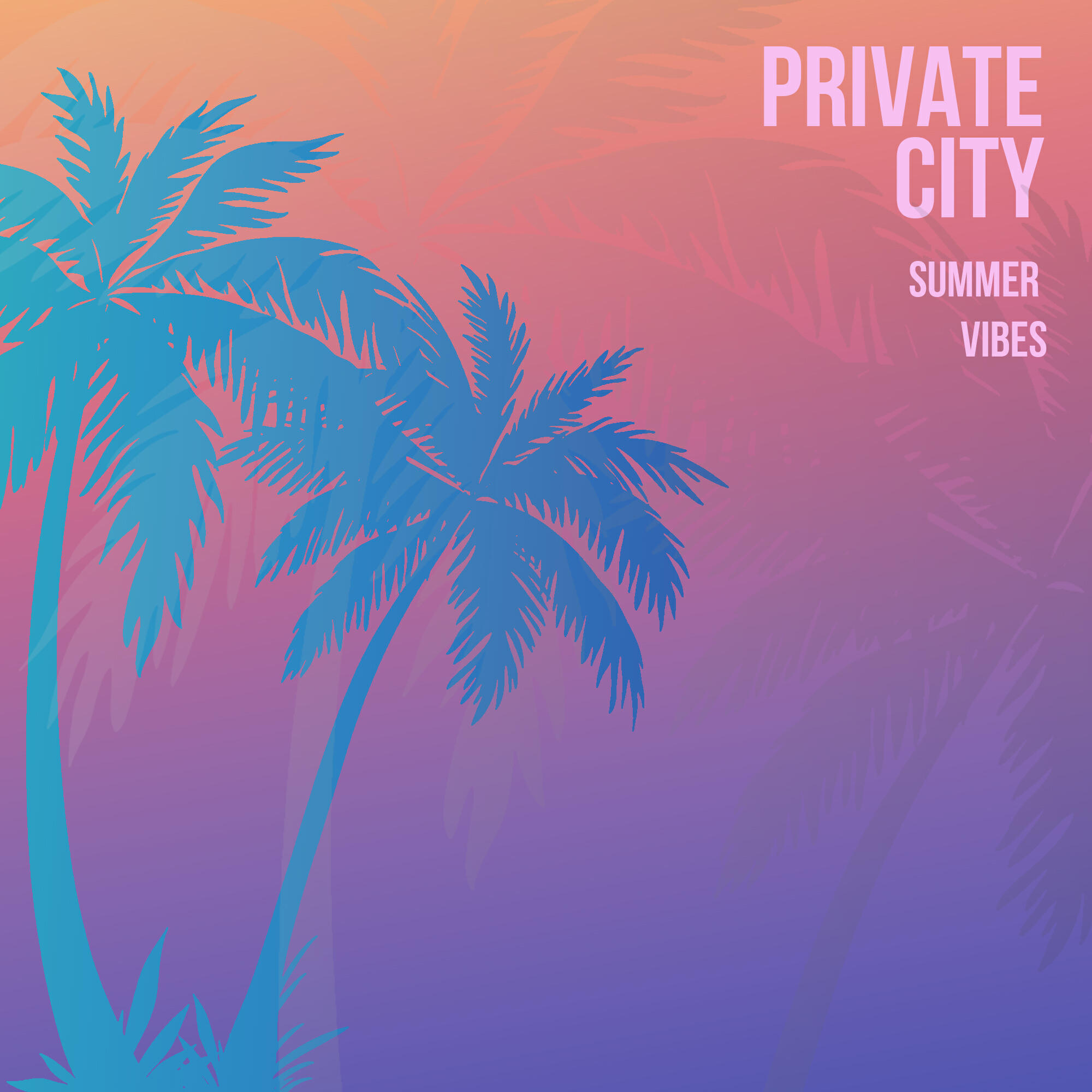 Private City
