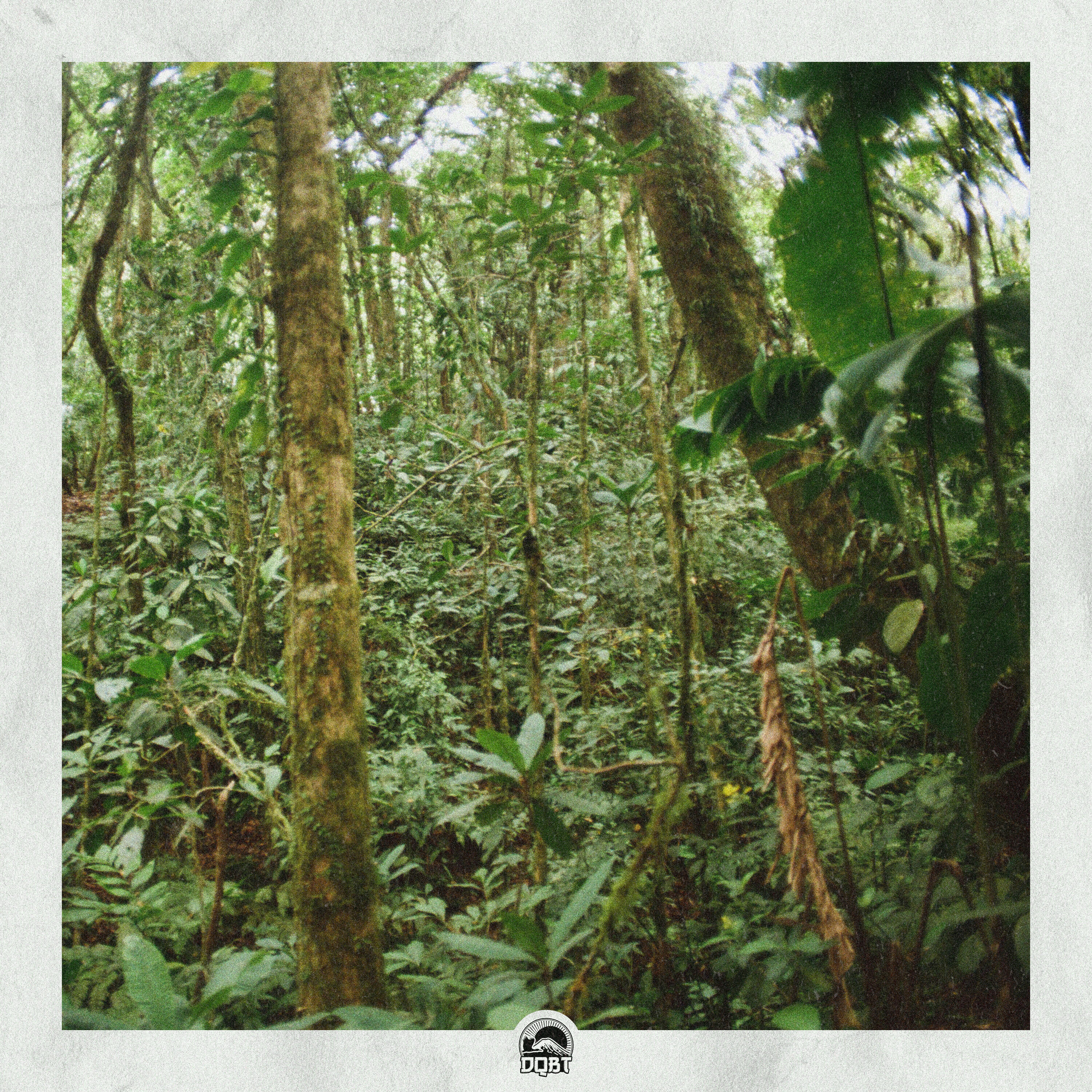 Релиз Magic Forest