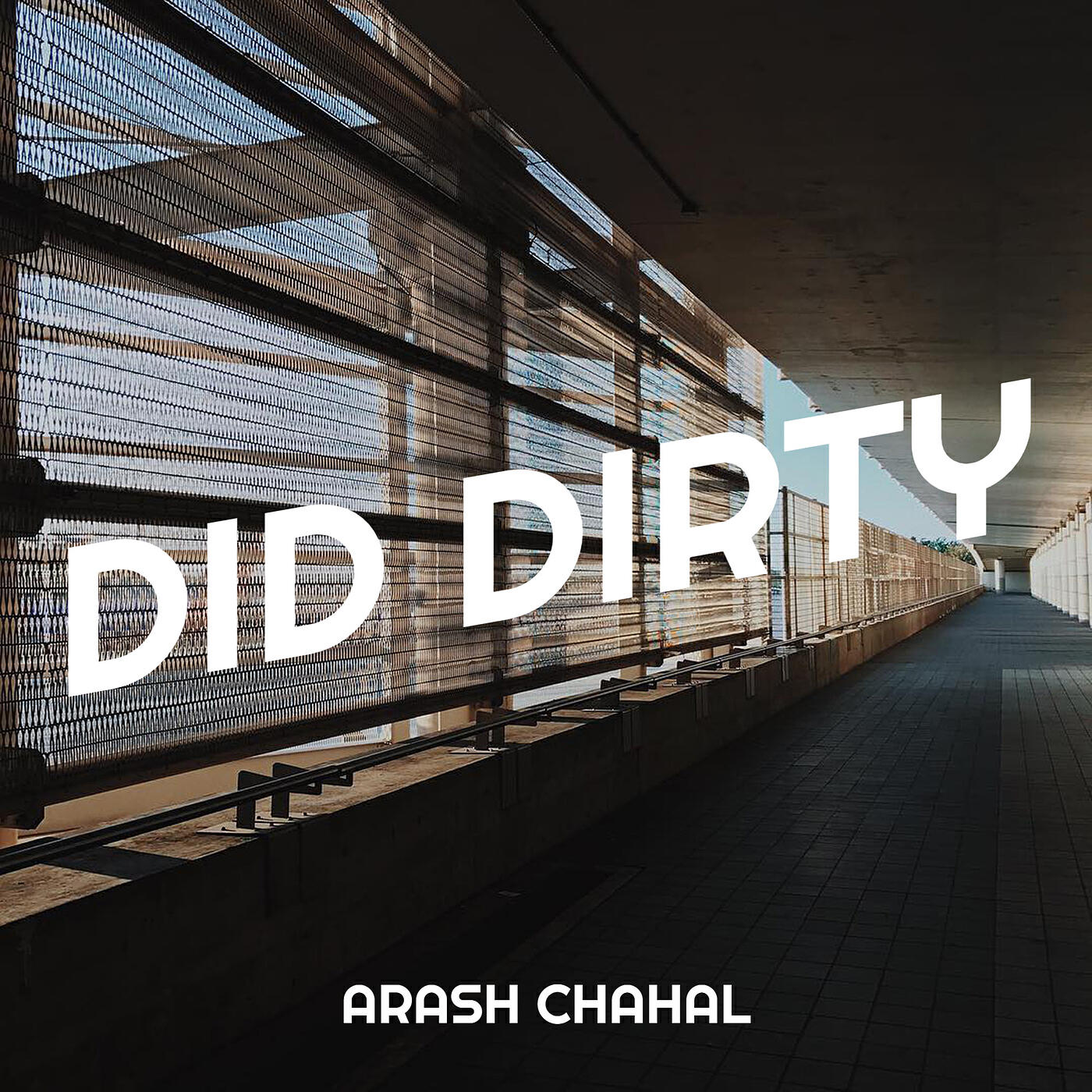 Релиз Did Dirty