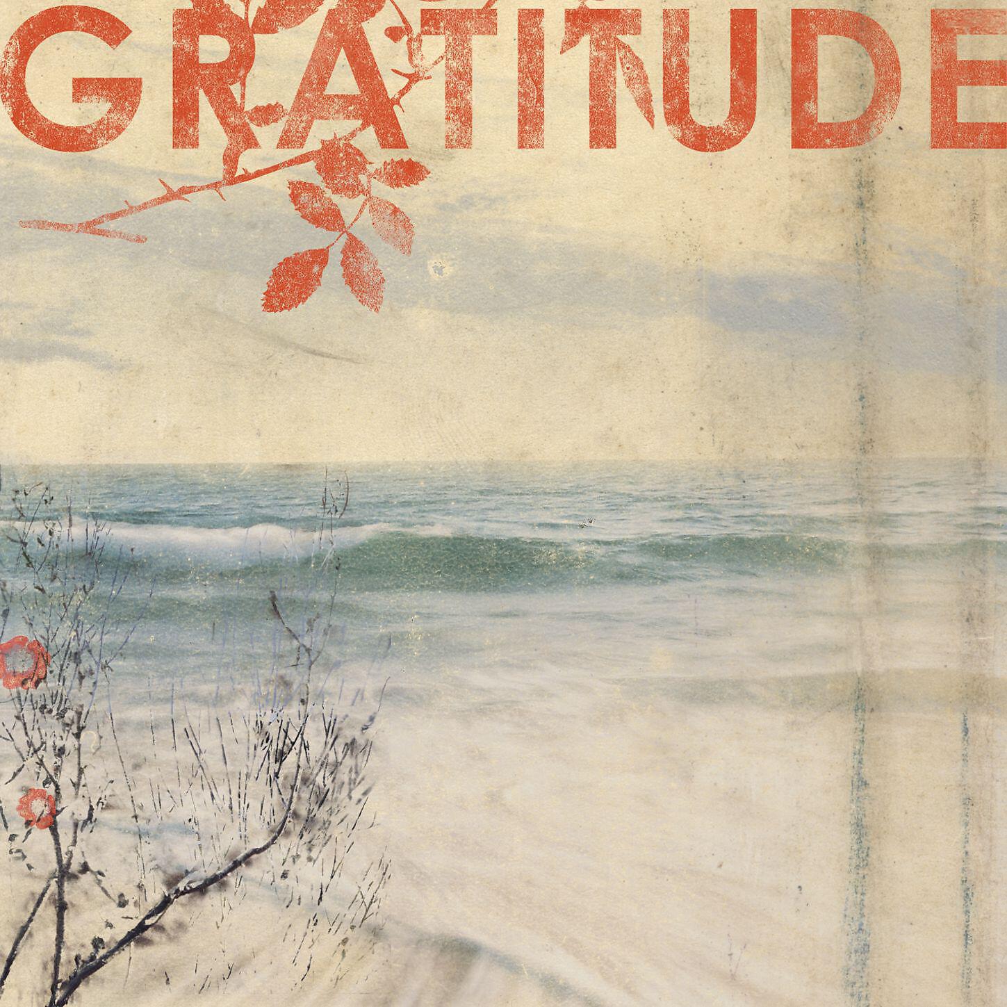 Релиз Gratitude (U.S. Version)