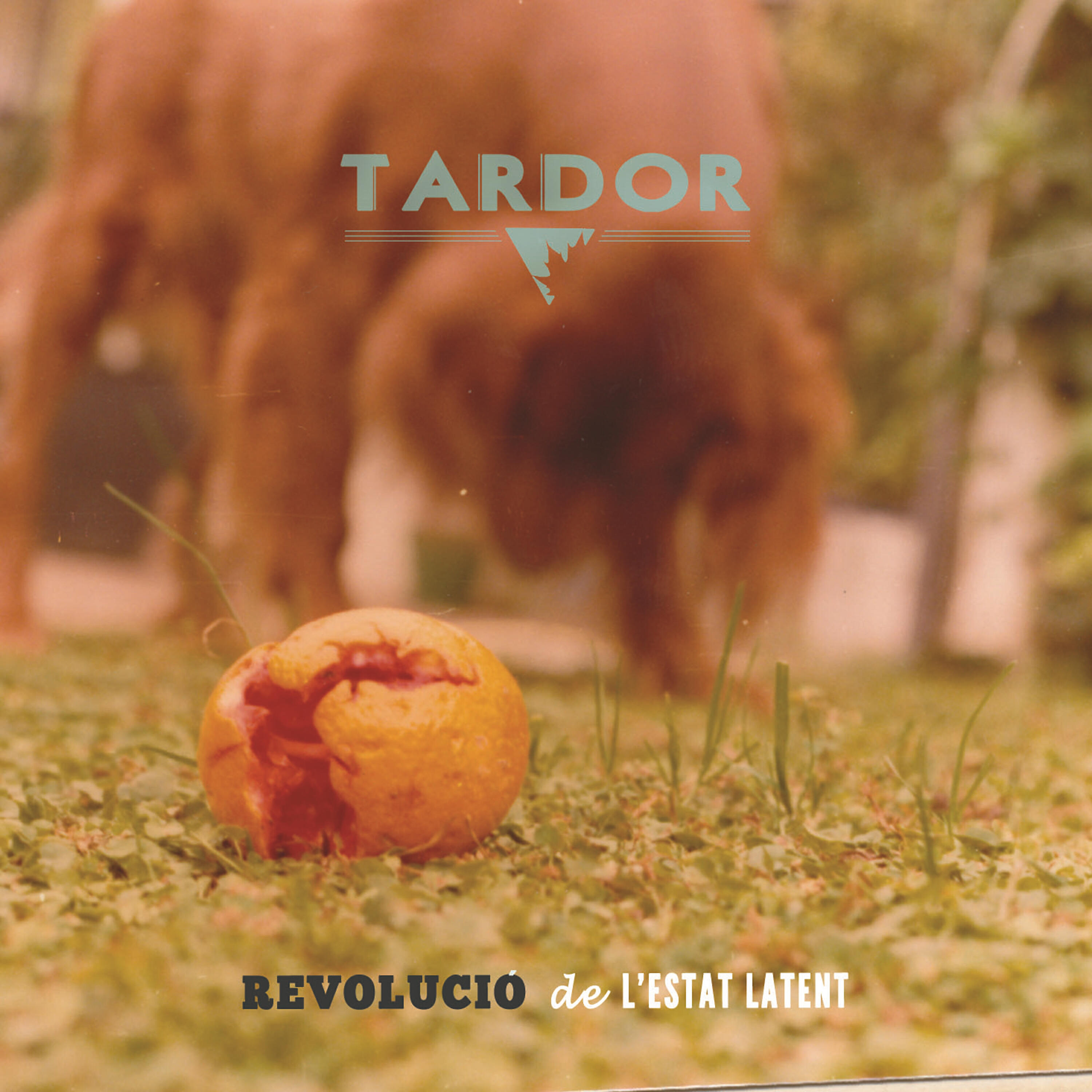 Релиз Revolució De L'estat Latent