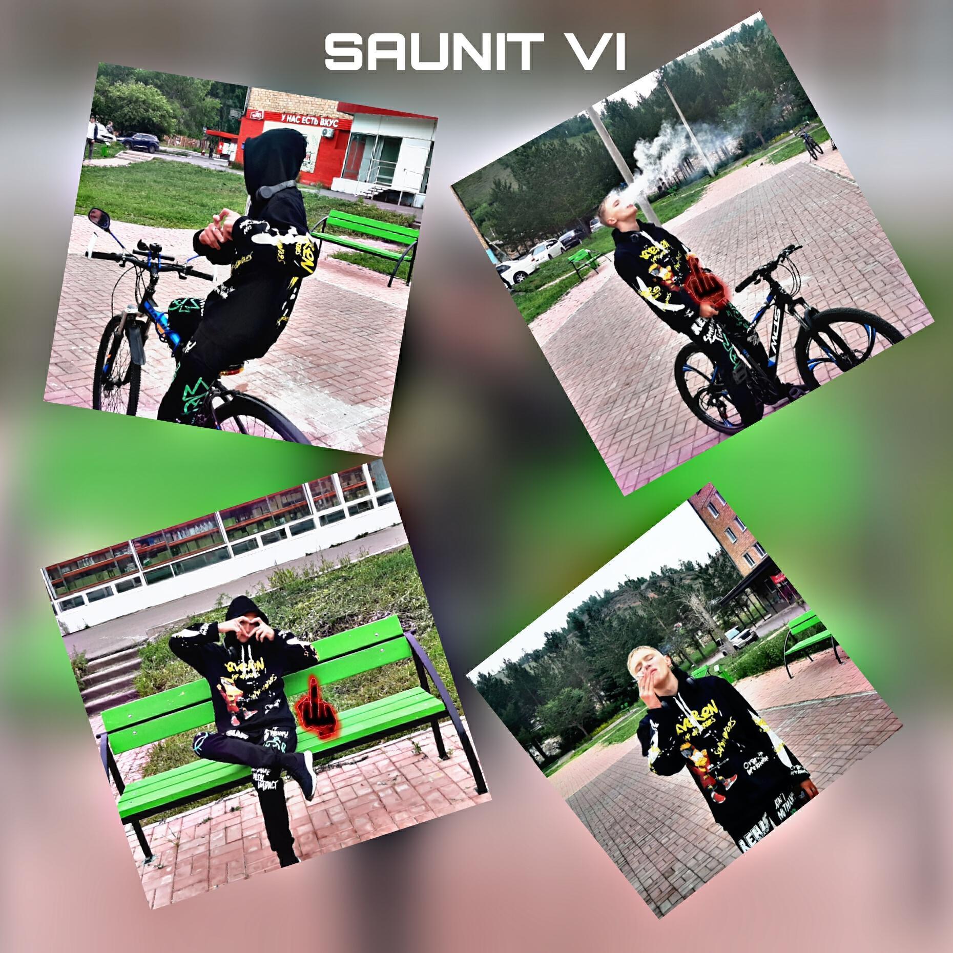 SAUNIT VI
