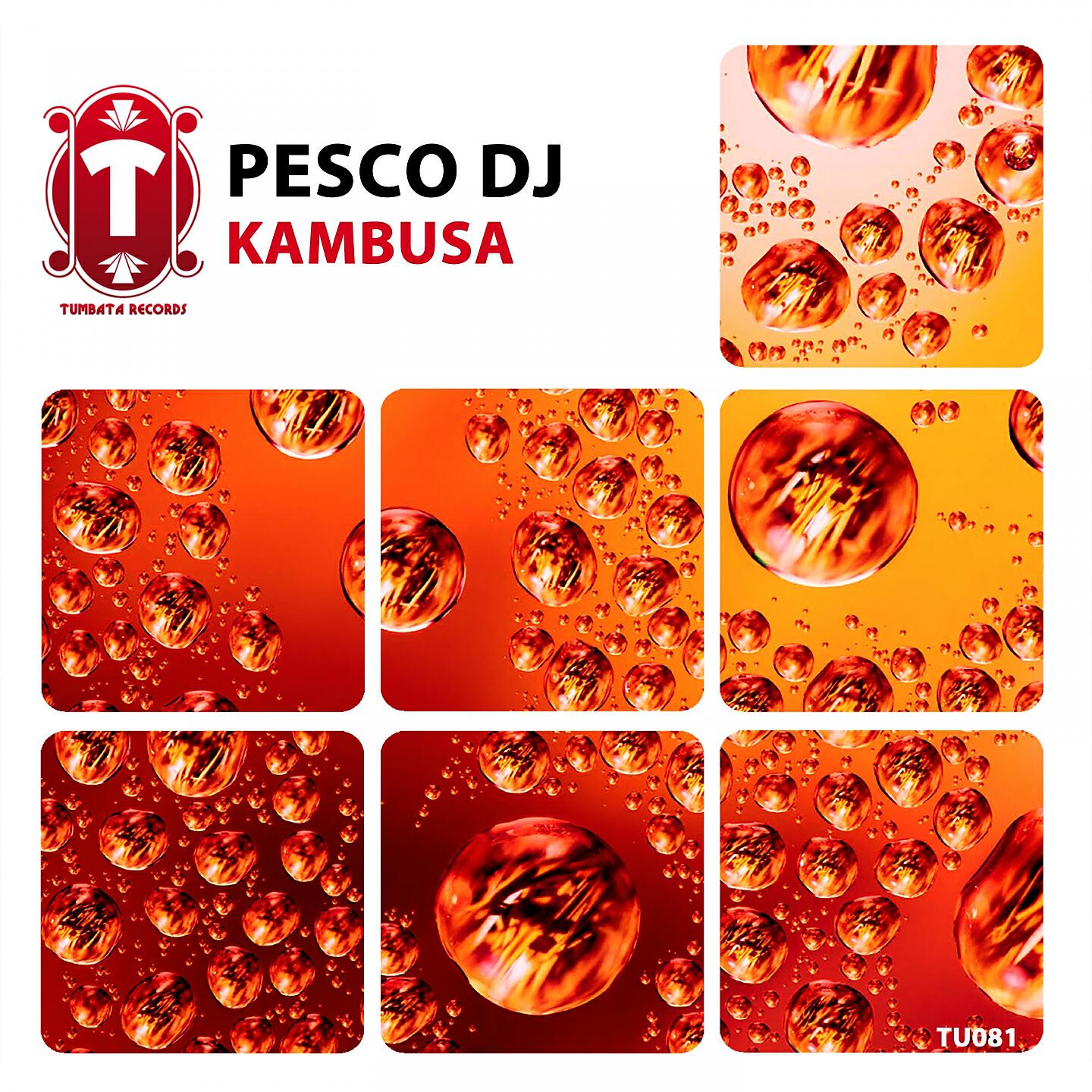 Релиз Kambusa