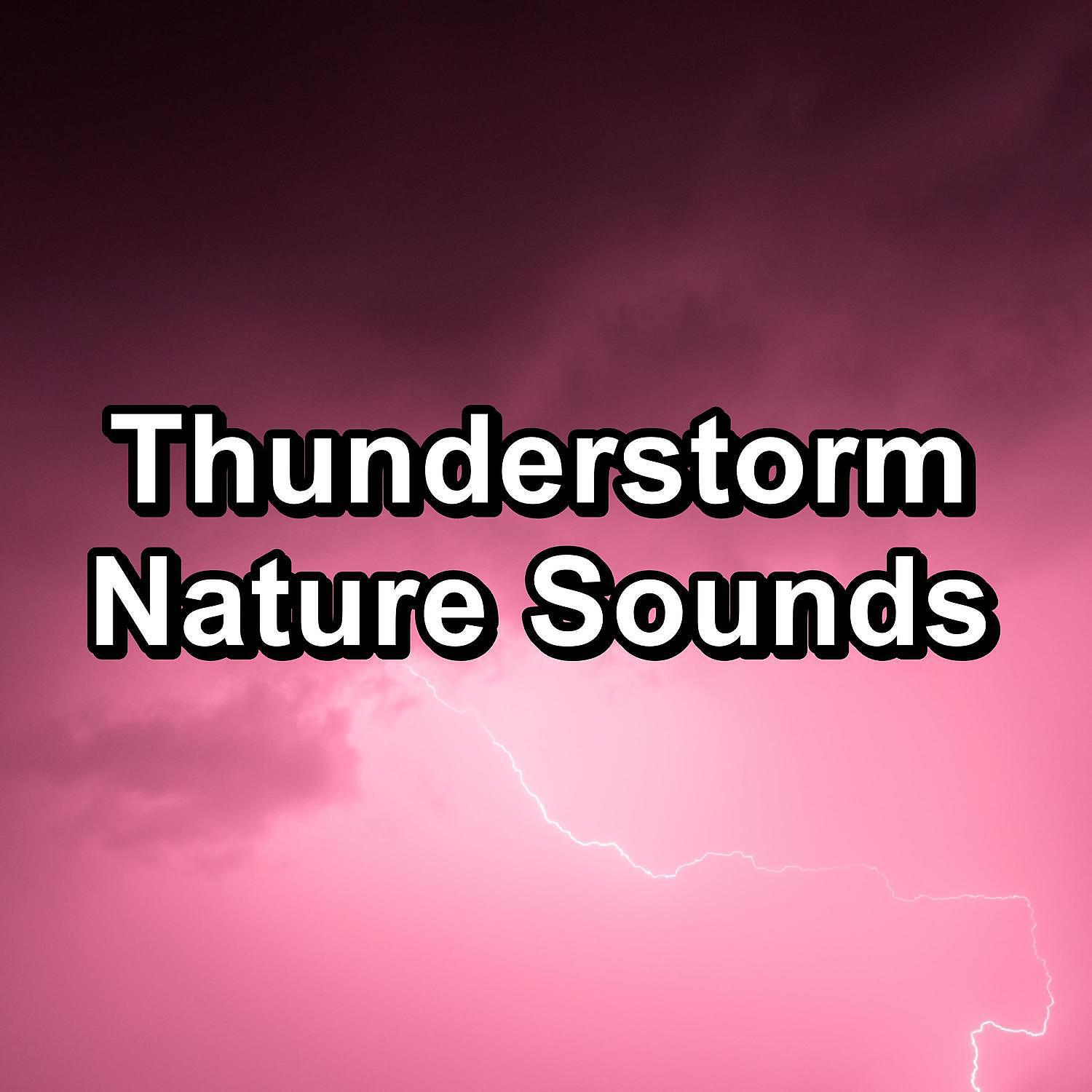 Релиз Thunderstorm Nature Sounds