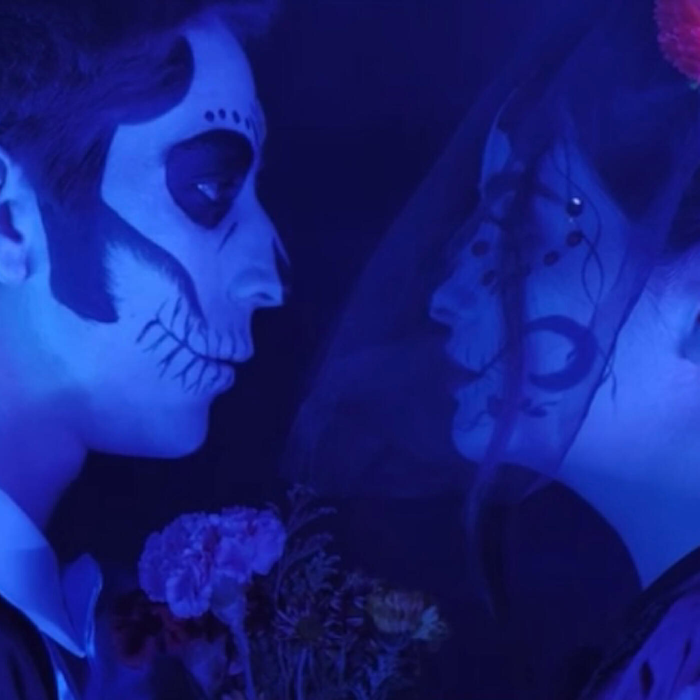 Релиз Blue Roses