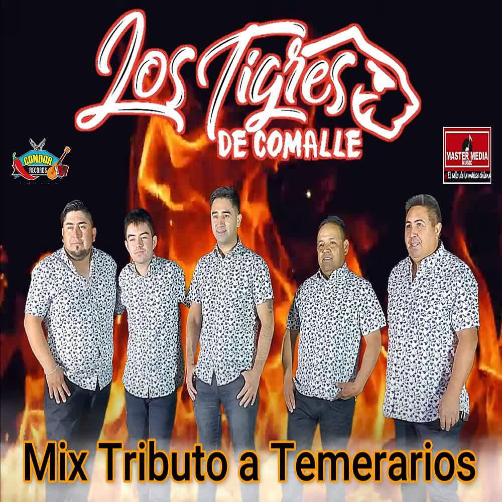 Los Tigres de Comalle