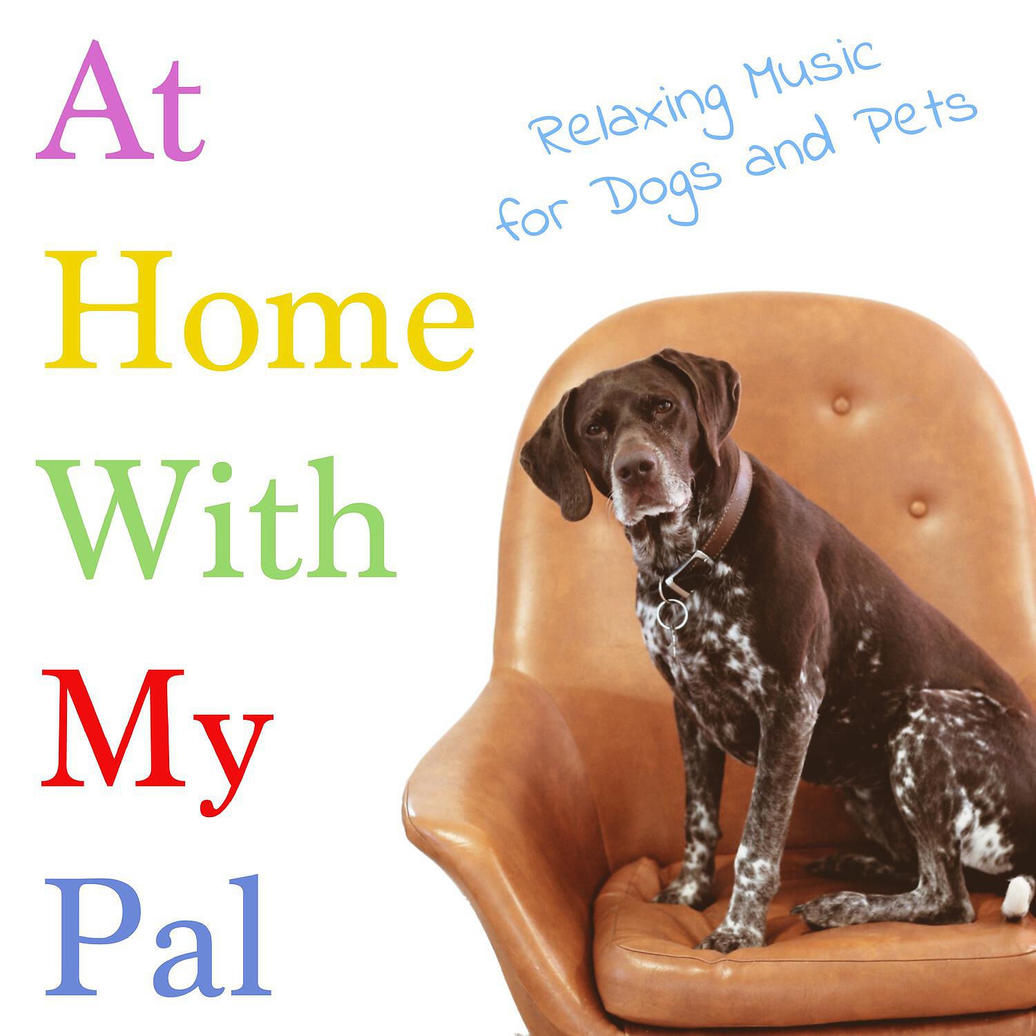 Релиз At Home with My Pal (Relaxing Music for Dogs and Pets)