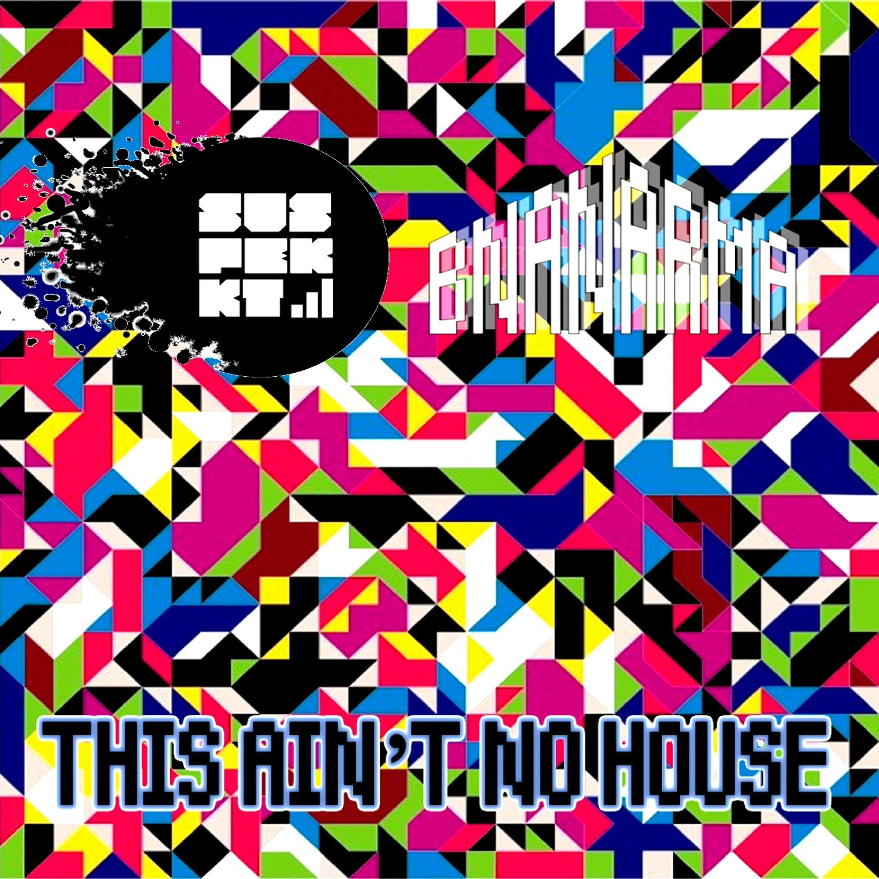 Релиз This Ain't No House