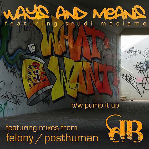Релиз What I Want / Pump It Up