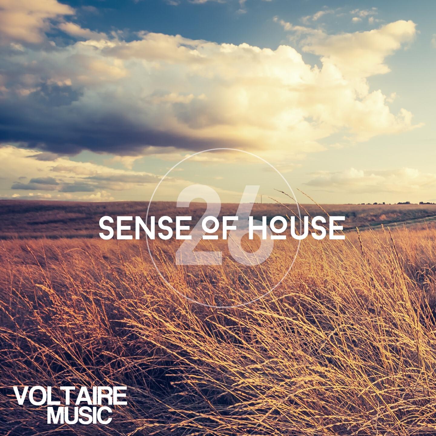 Релиз Sense of House, Vol. 26