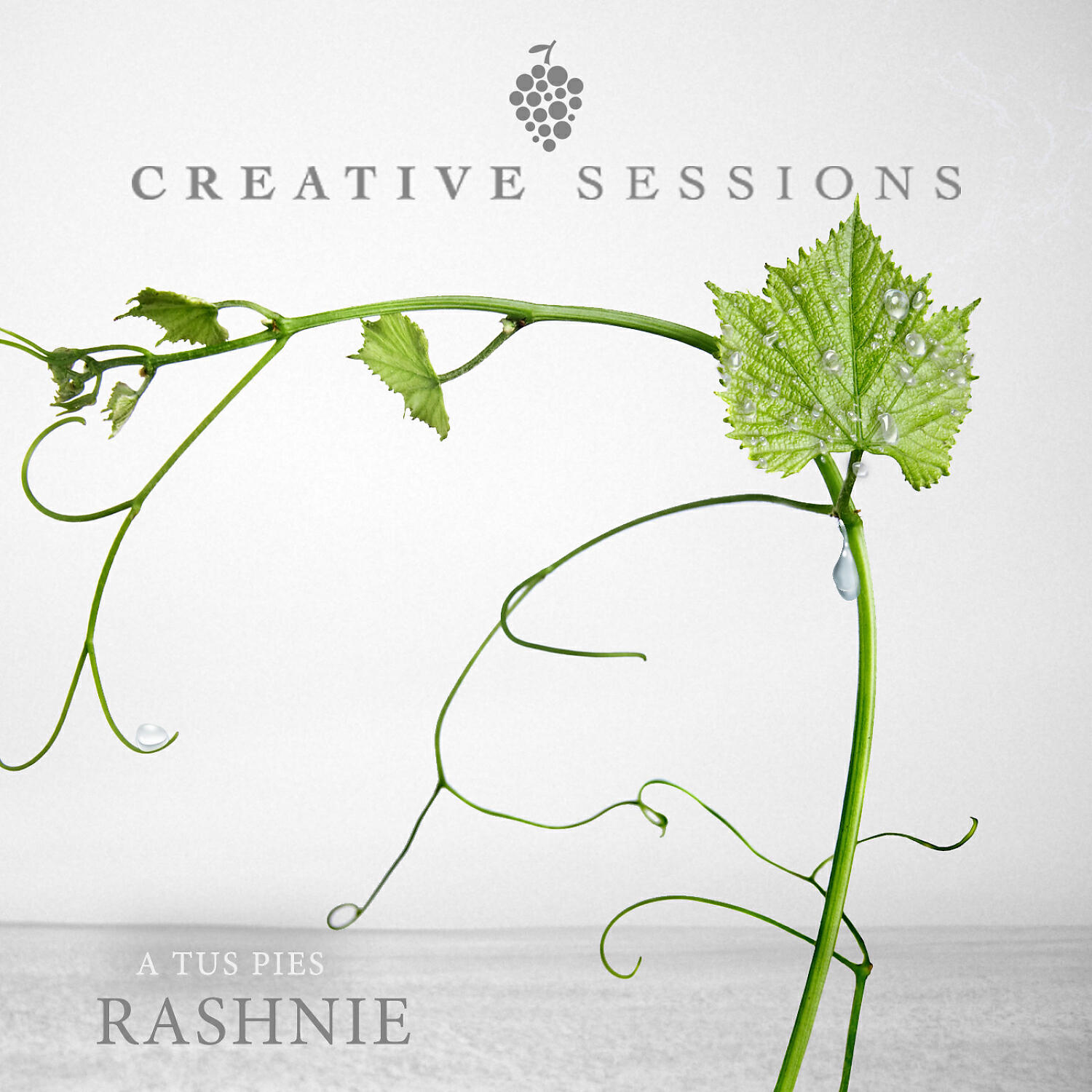 Релиз A Tus Pies (feat. Rashnie)