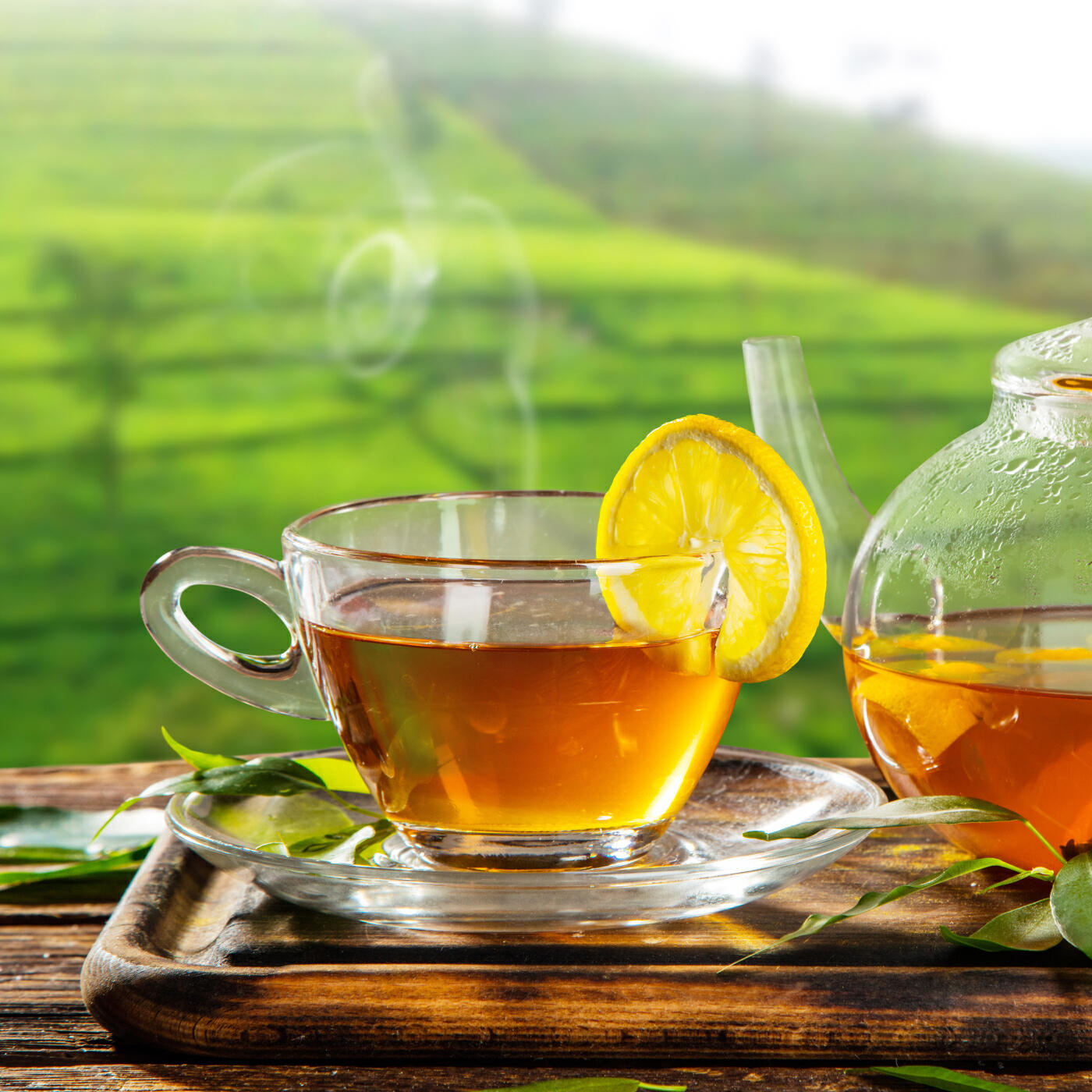 Релиз A Conversation Over a Cup of Tea in the Summer Garden