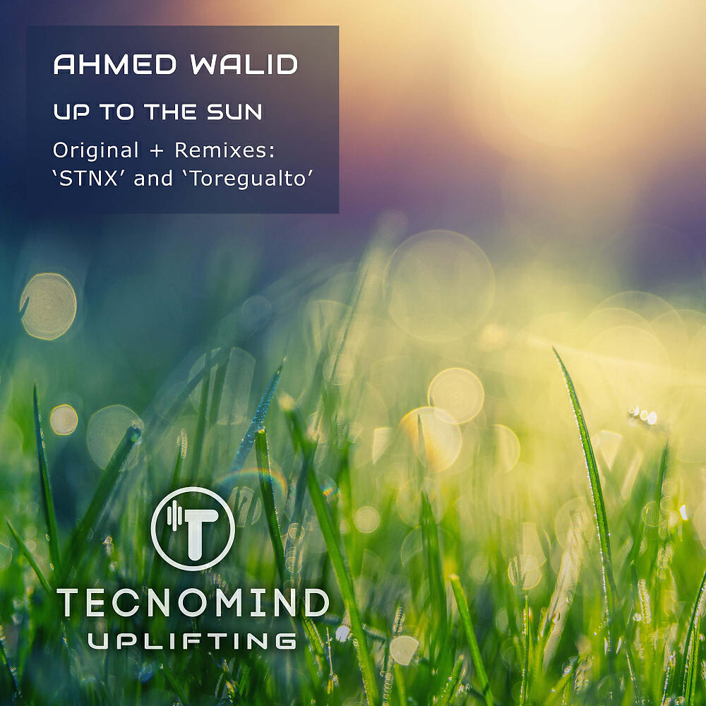 Релиз Up to The Sun