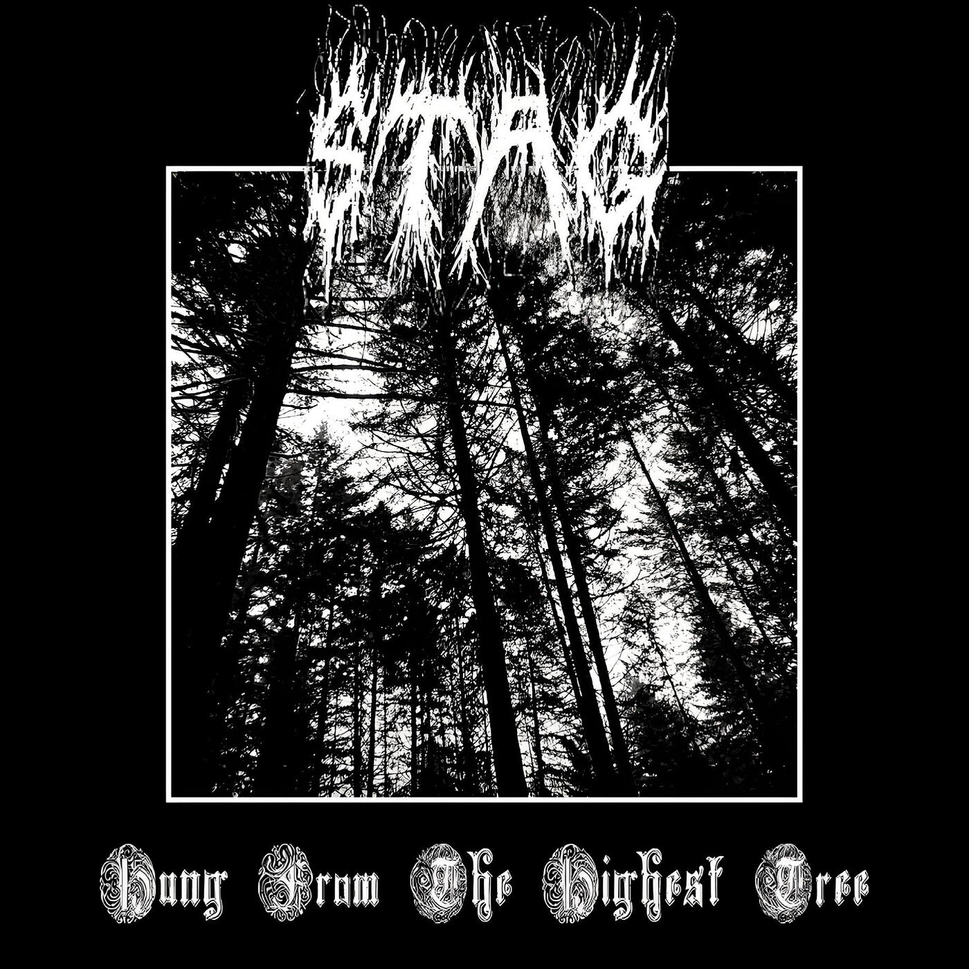 Релиз Hung from the Highest Tree