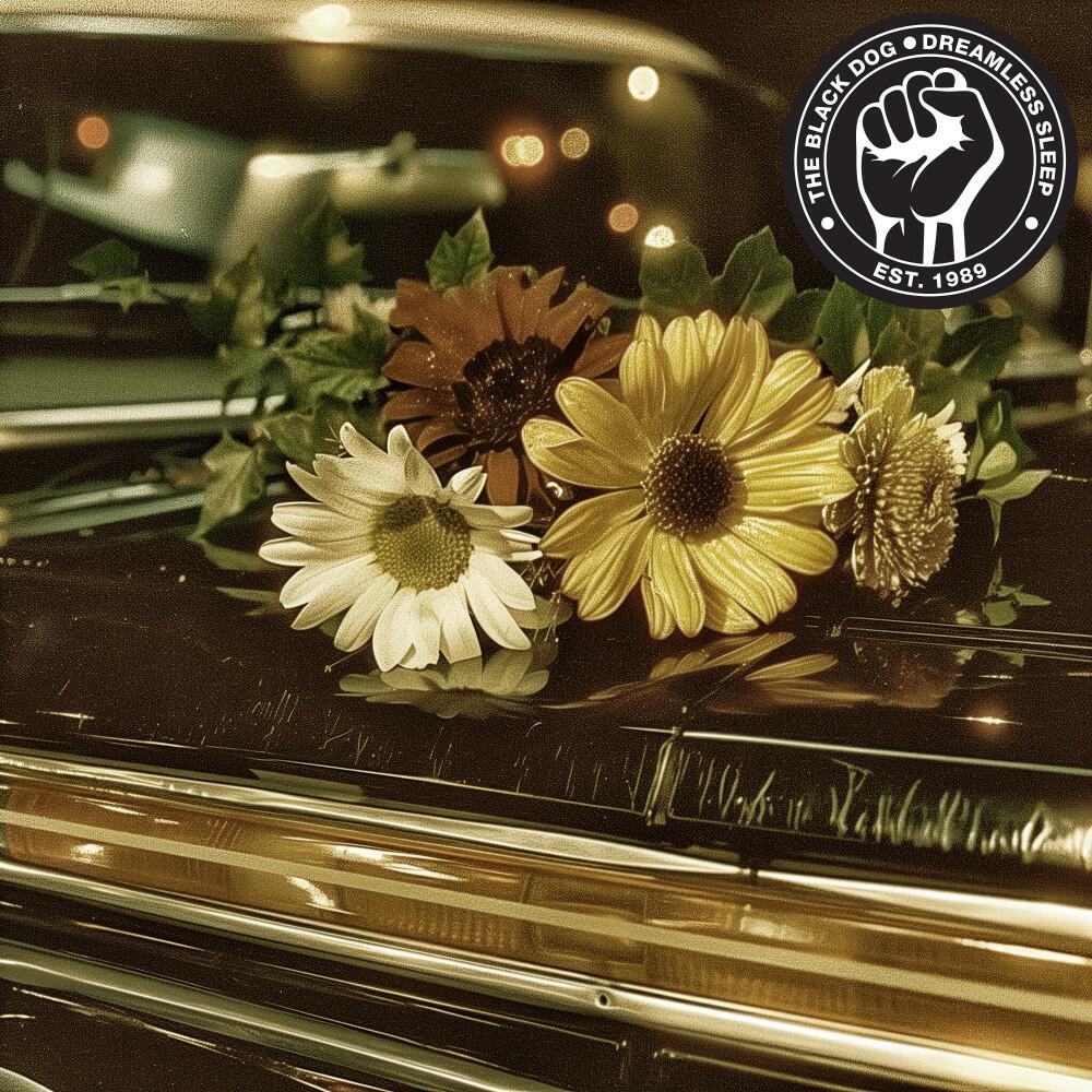 Релиз Dreamless Sleep EP