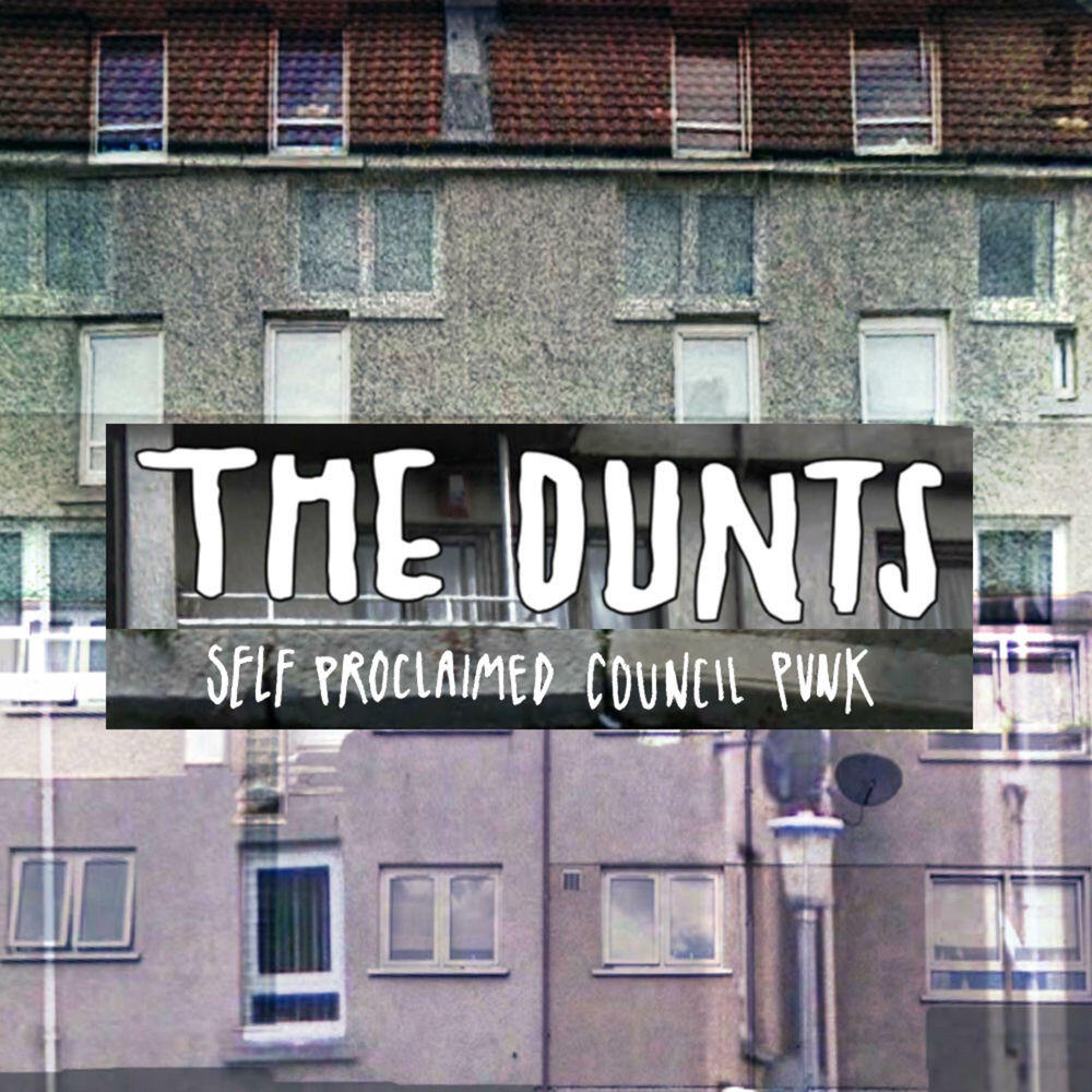 Релиз Self Proclaimed Council Punk