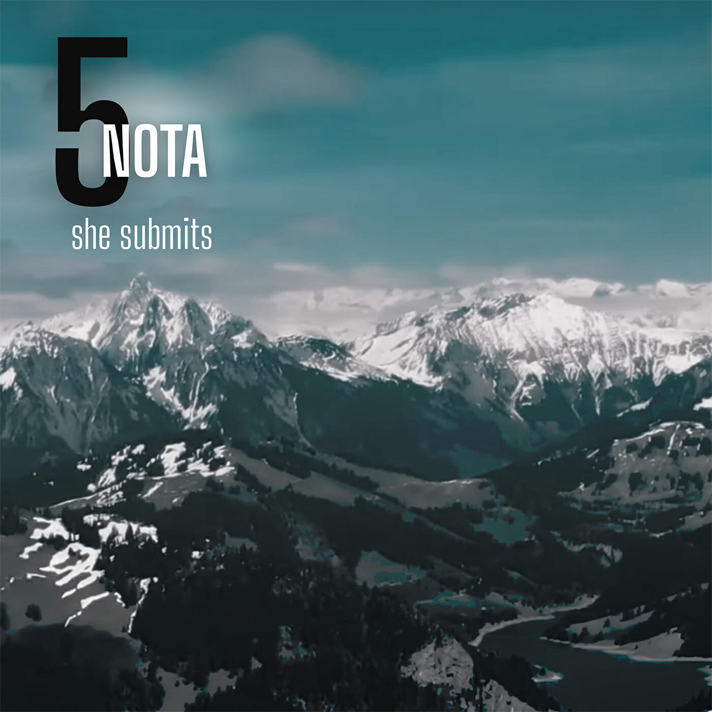 Релиз she submits