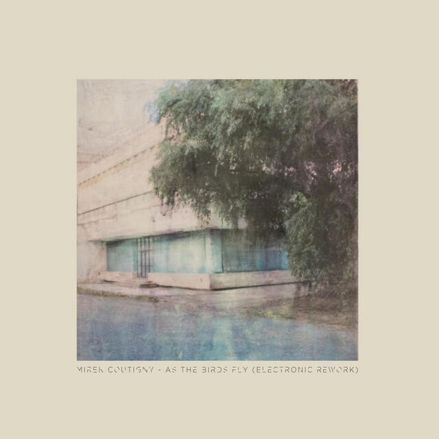 Релиз As the Birds Fly (Electronic Rework) [feat. Jonathan Bonny]