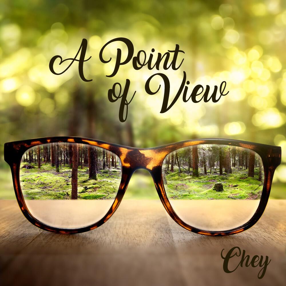 Релиз A Point of View