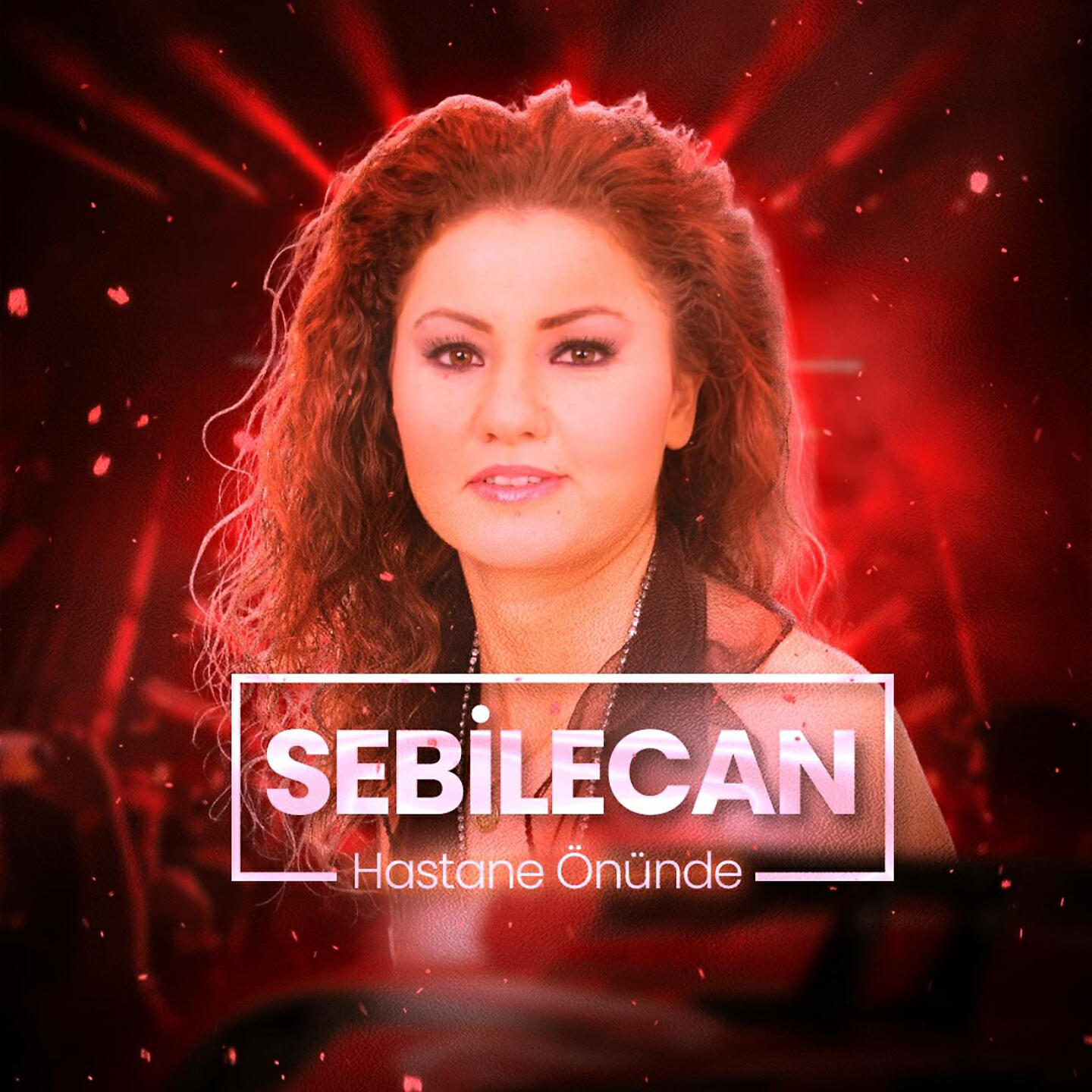 Релиз Hastane Önünde İncir Ağacı