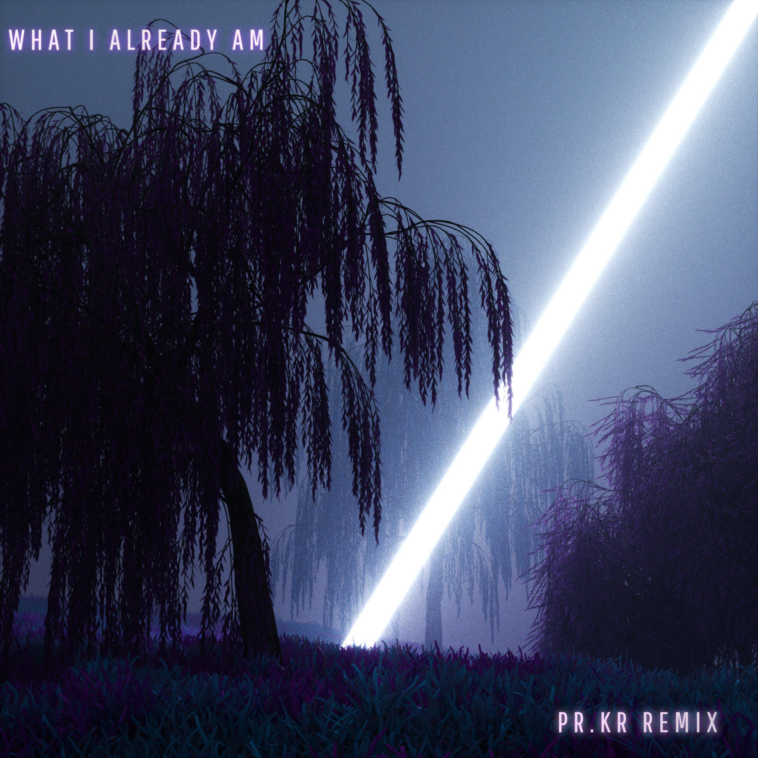 Релиз What I Already Am