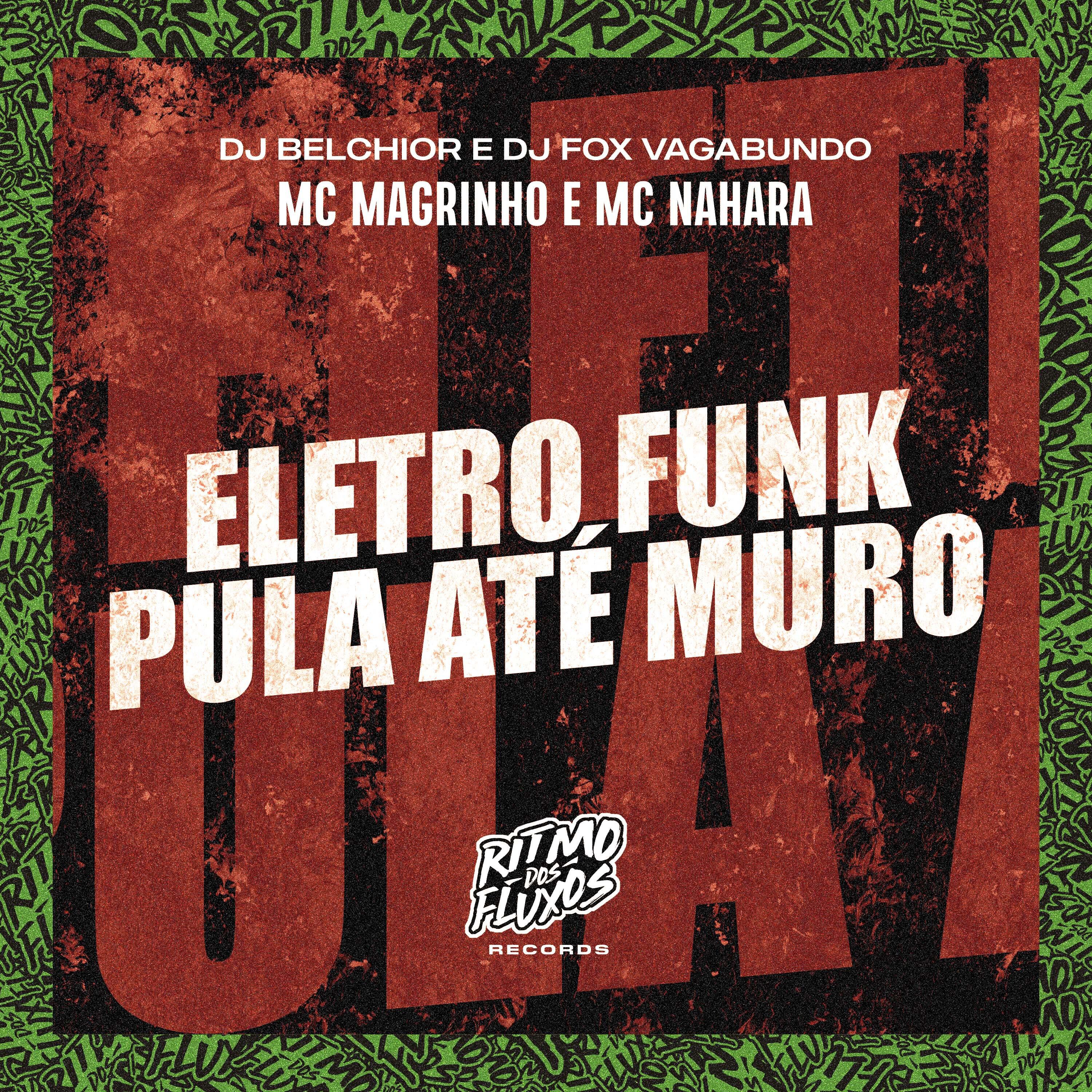 Скачать песню Mc Magrinho, DJ Belchior, DJ FOX VAGABUNDO, MC NAHARA - Eletro Funk Pula Até Muro бесплатно в MP3 для Android и iOS