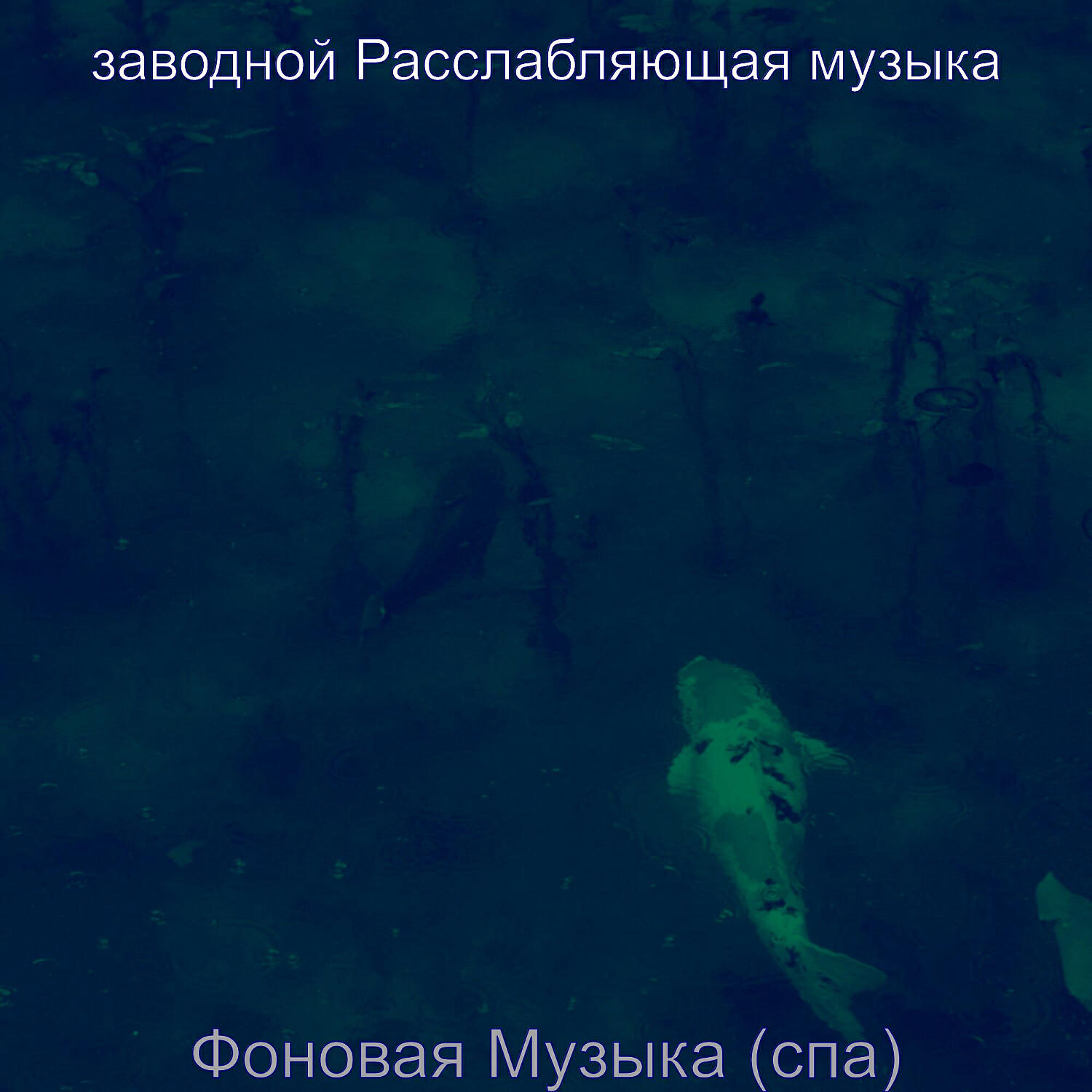 Релиз Фоновая Музыка (спа)