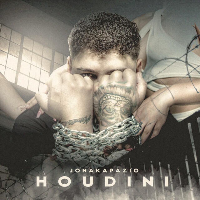 Релиз Houdini