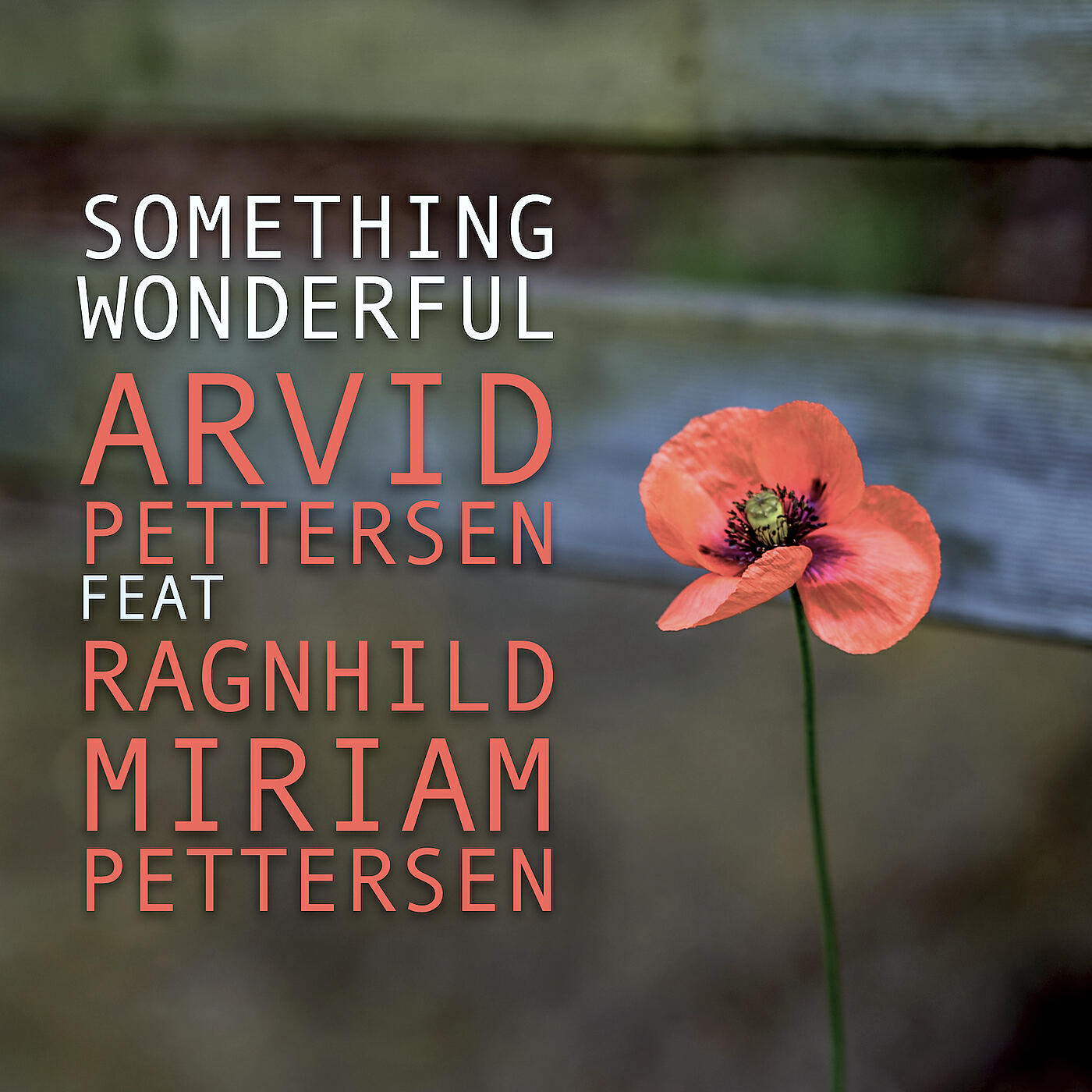 Релиз Something Wonderful
