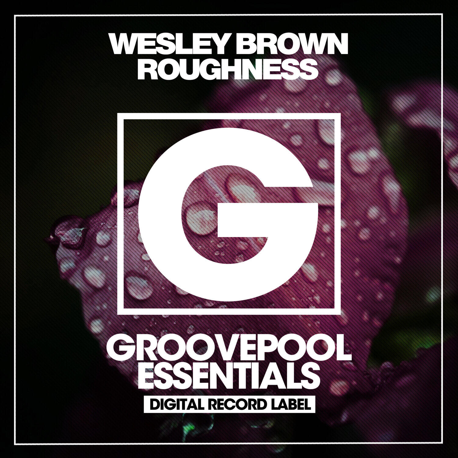 Релиз Roughness