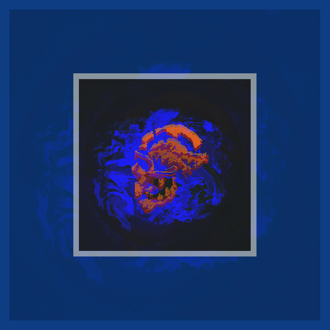 Релиз New World Radio