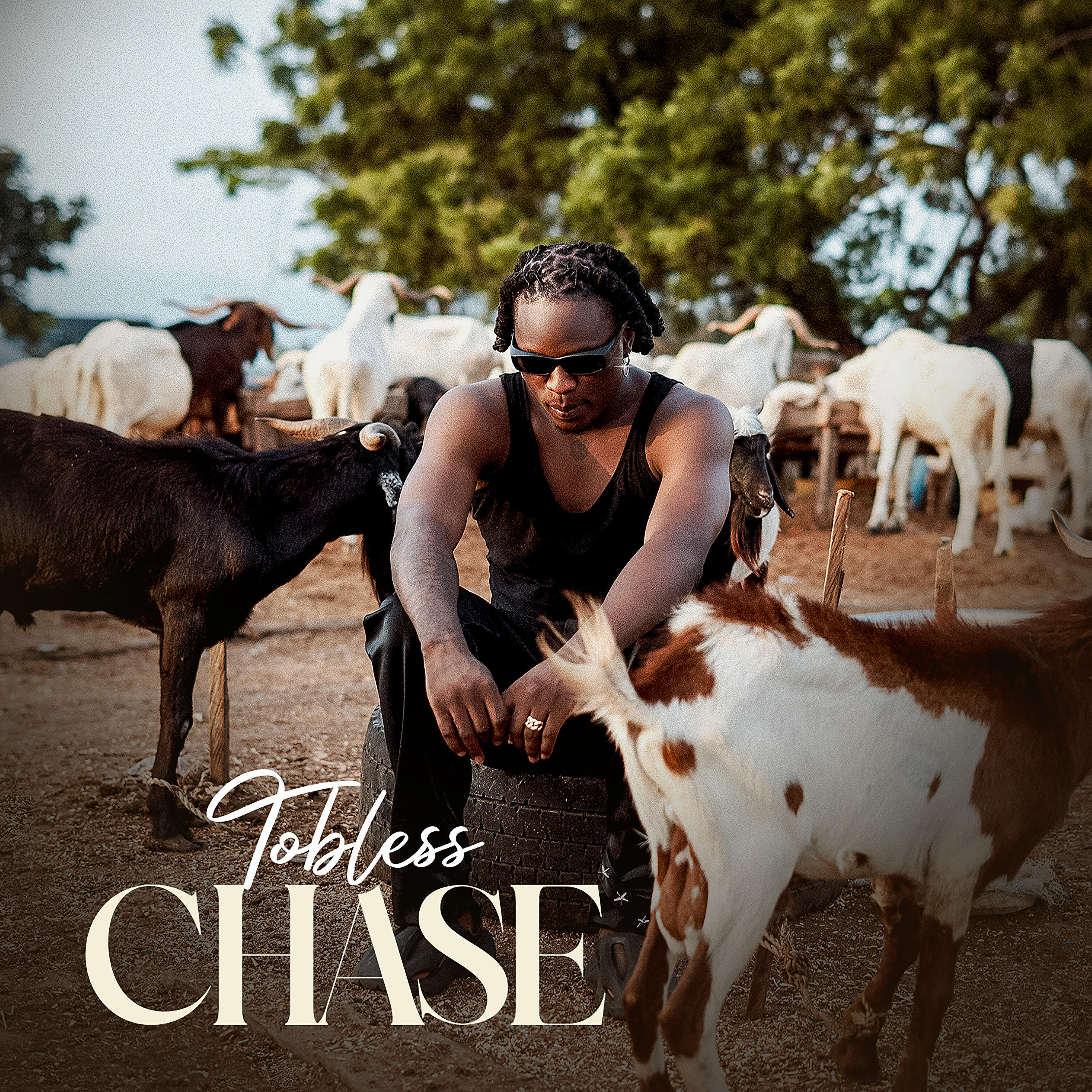 Релиз CHASE