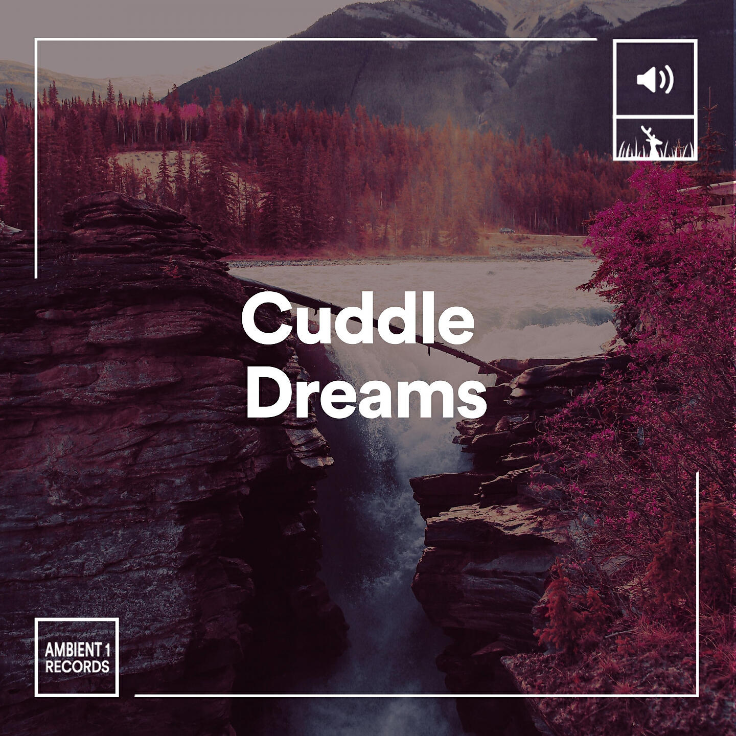 Релиз Cuddle Dreams
