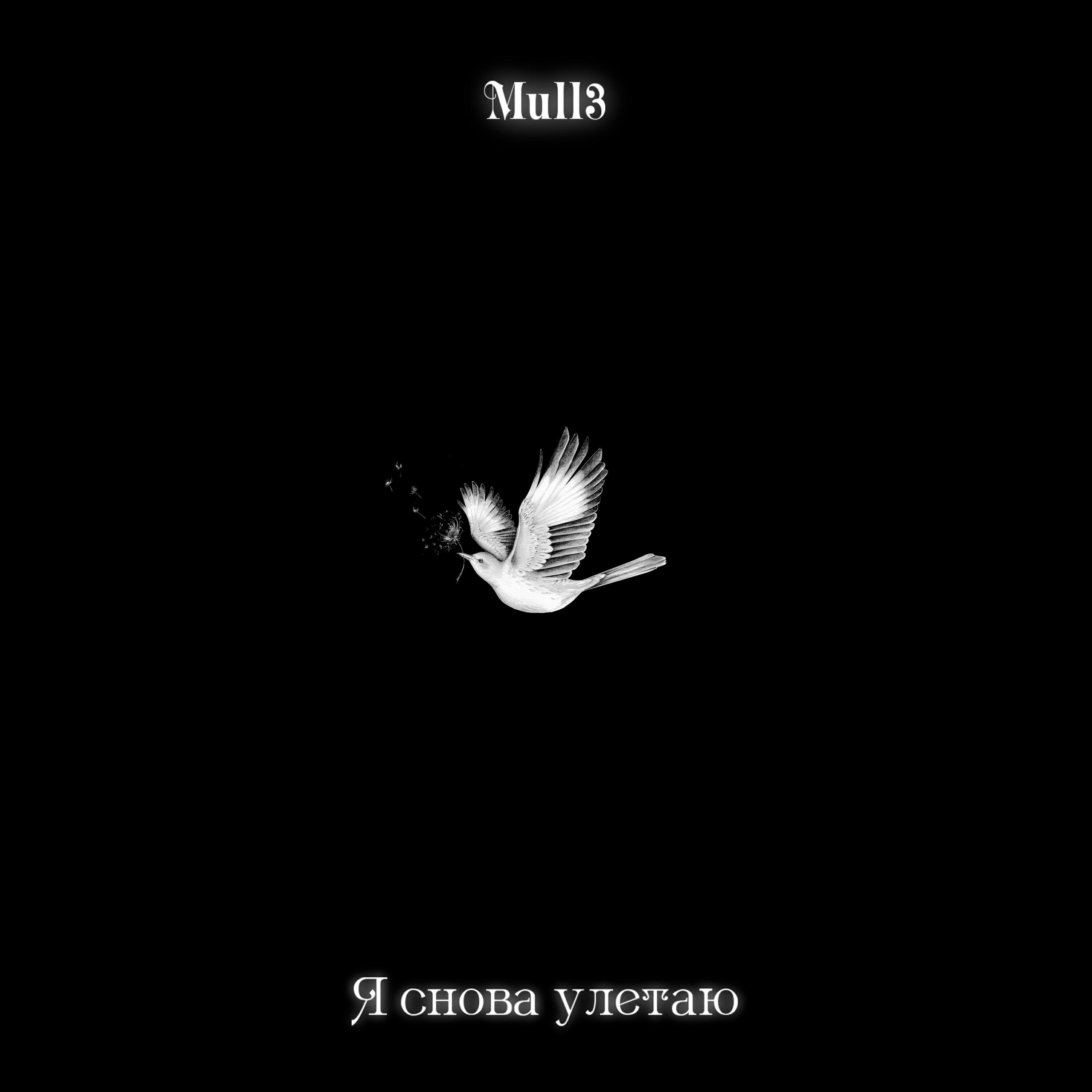 Скачать песню Mull3 - Я снова улетаю бесплатно в MP3 для Android и iOS