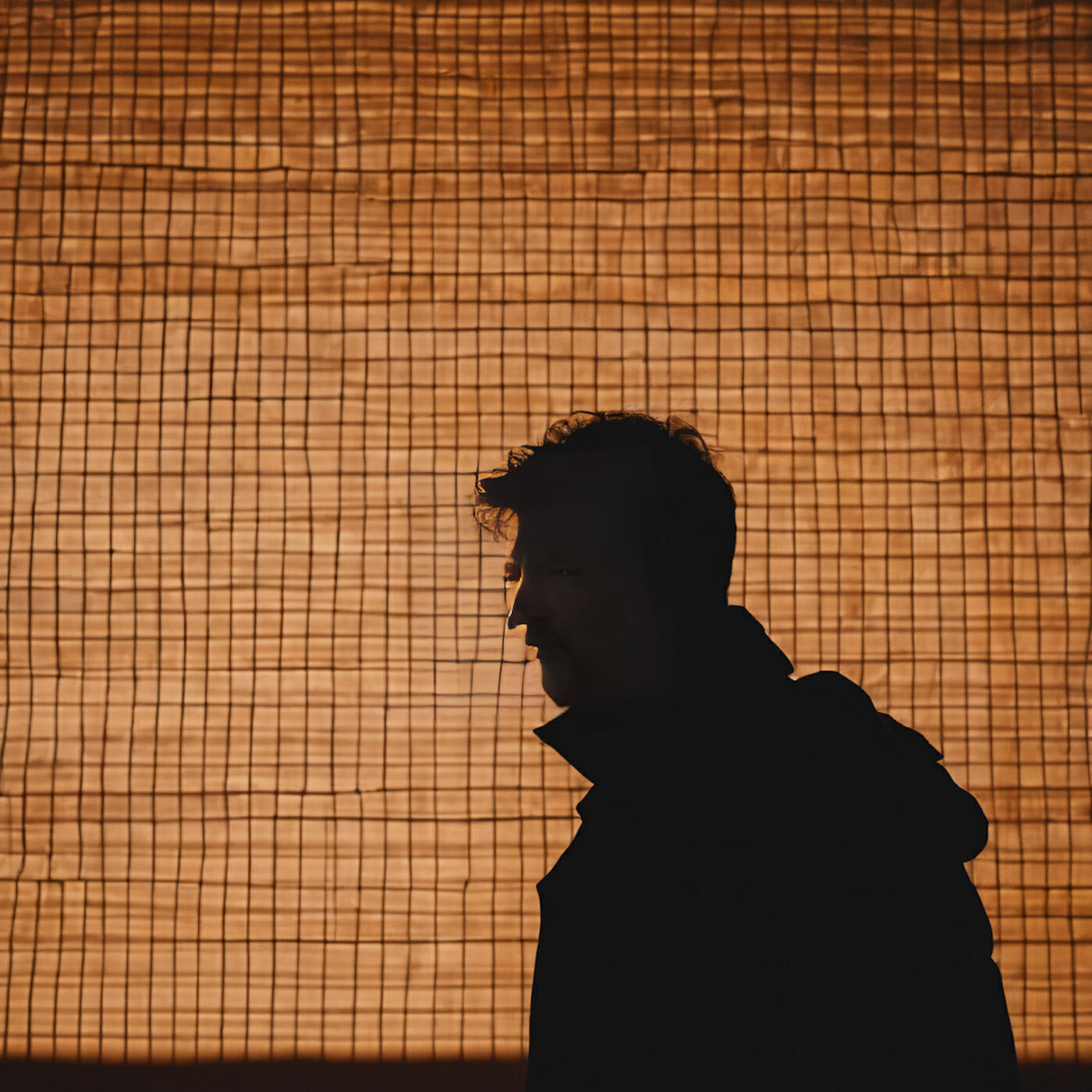Релиз The Shadow Fix
