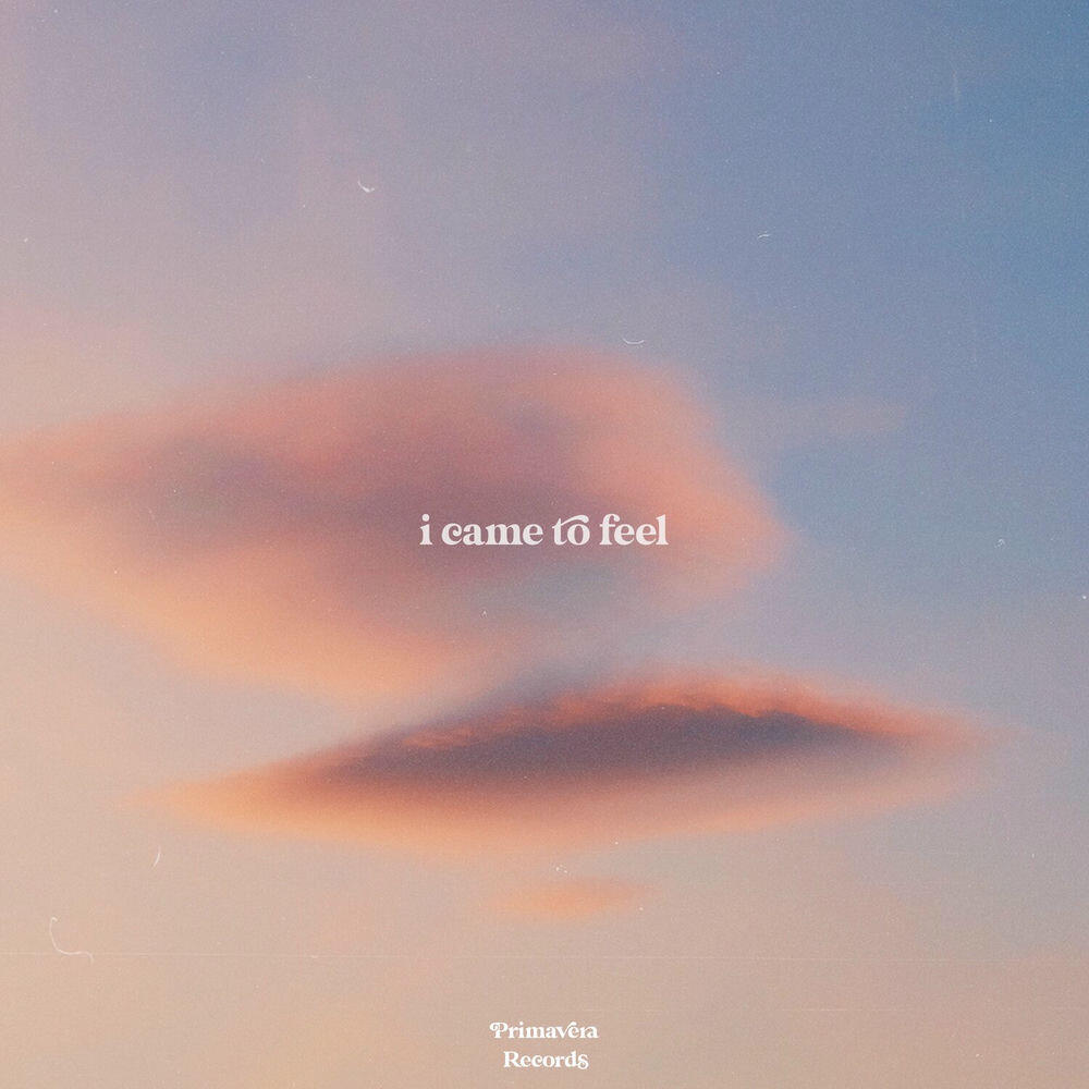 Mr Mantega