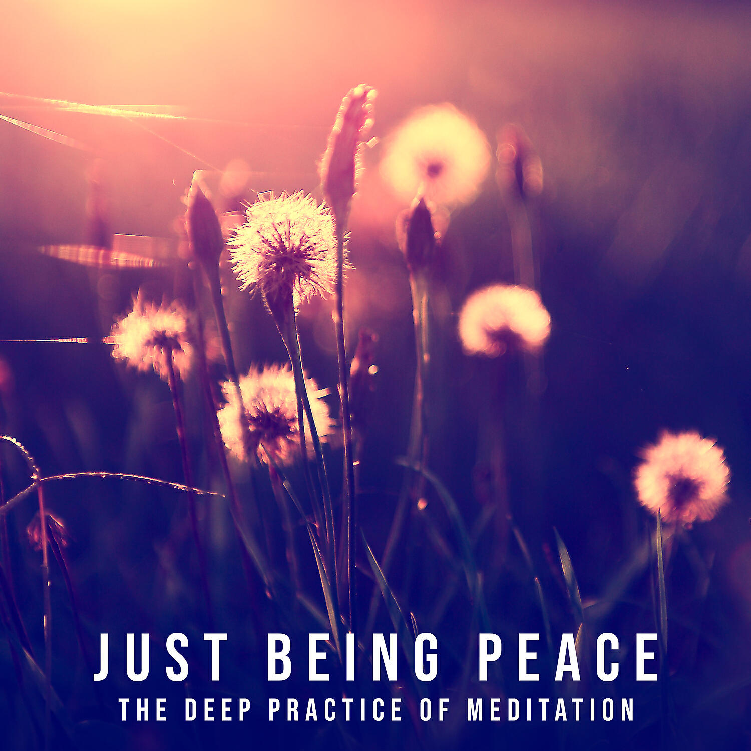 Релиз Just Being Peace - The Deep Practice of Meditation, Here and Now, Creating Calmness, Opening the Heart to Peace