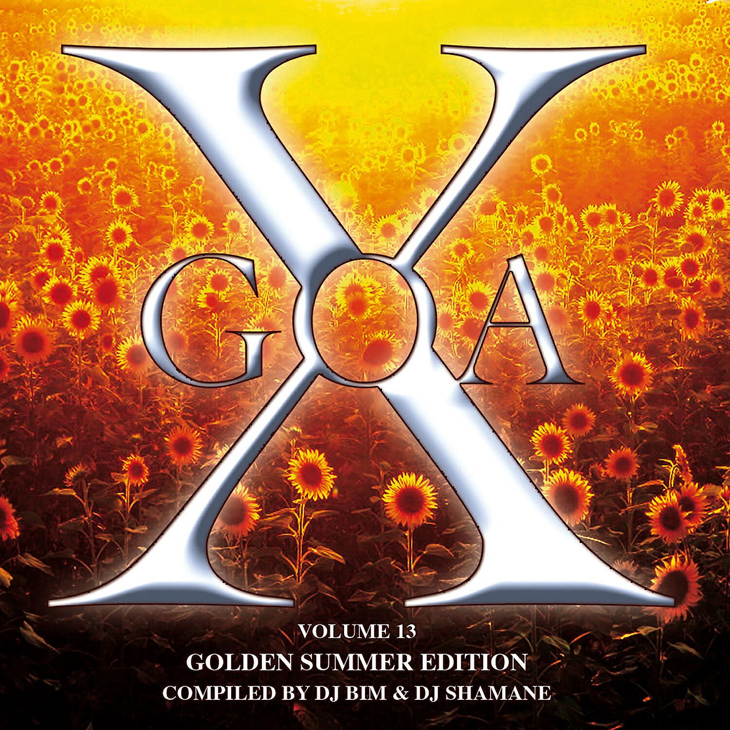 Релиз Goa X, Vol. 13