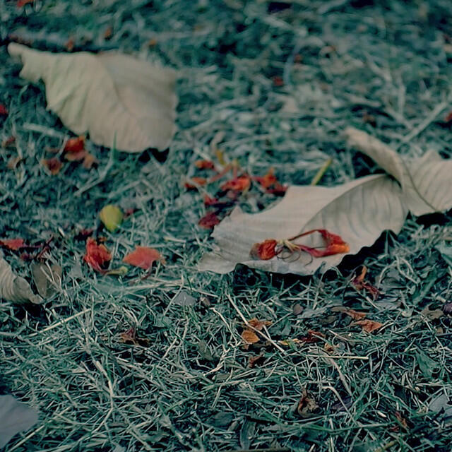 Релиз เบาใจ