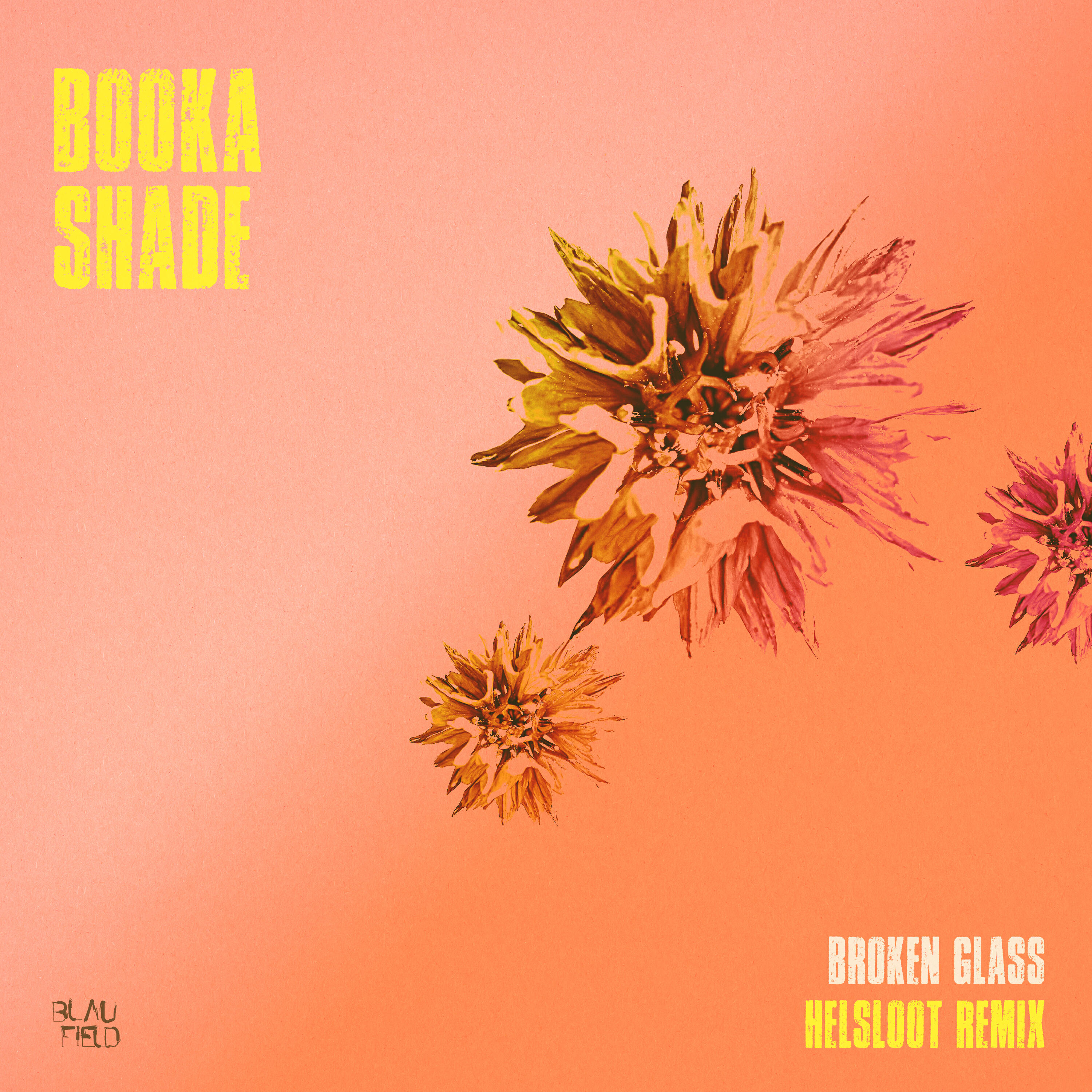 Релиз Broken Glass (Helsloot Remix)