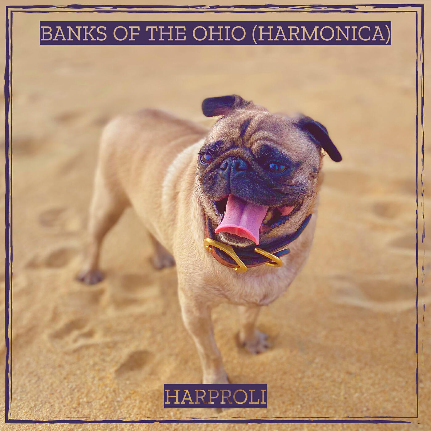 Релиз Banks of the Ohio (Harmonica)