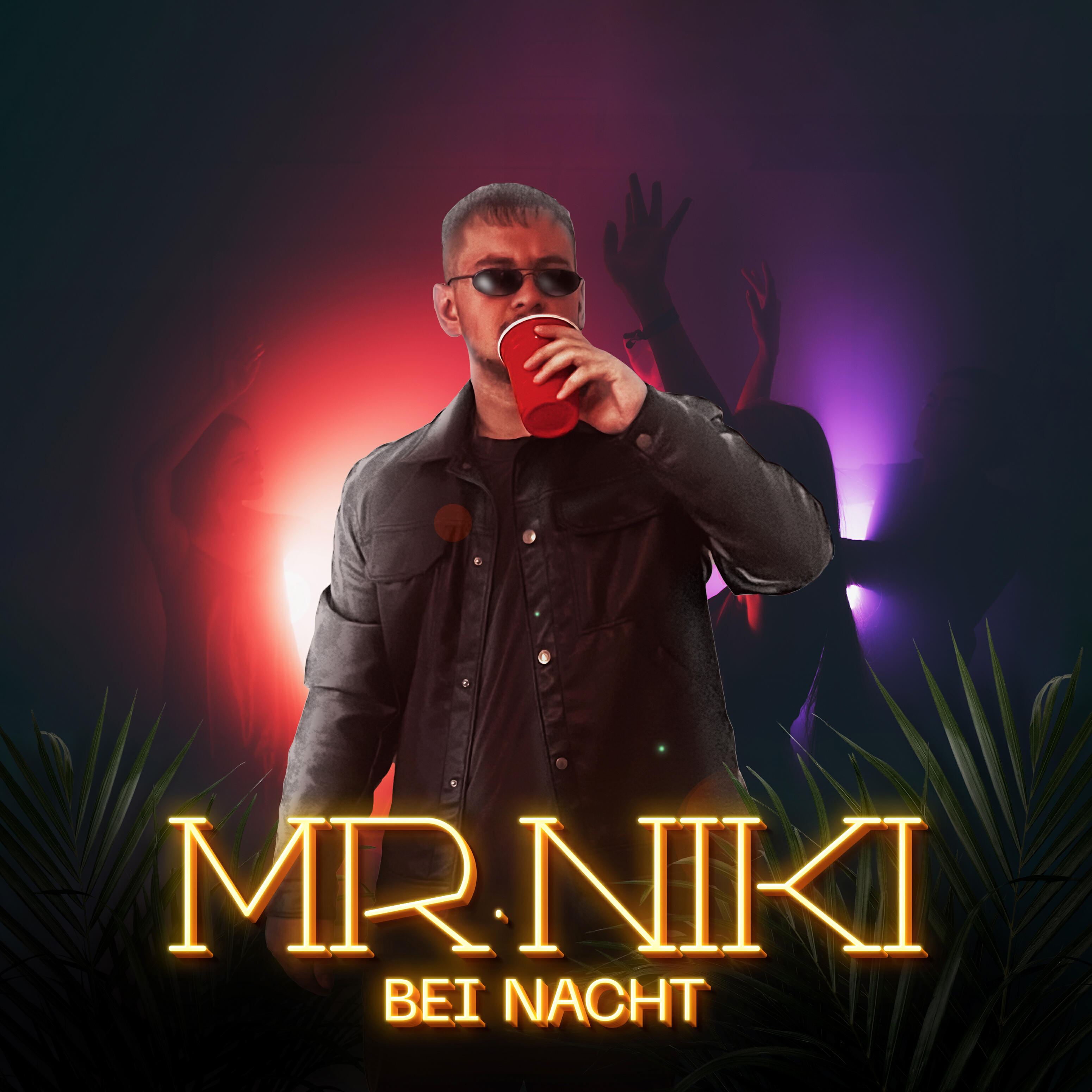 Релиз Bei Nacht