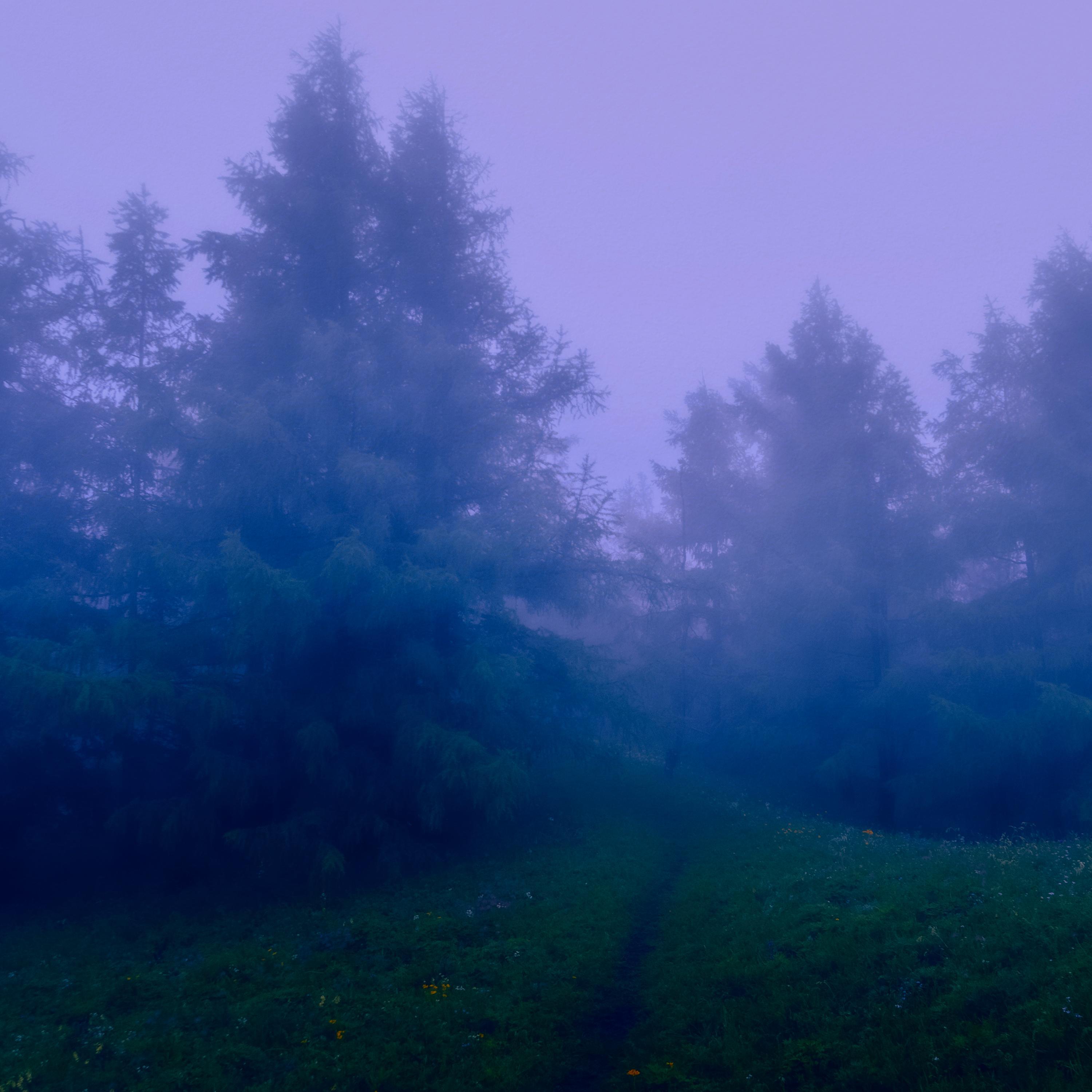 Релиз 2am