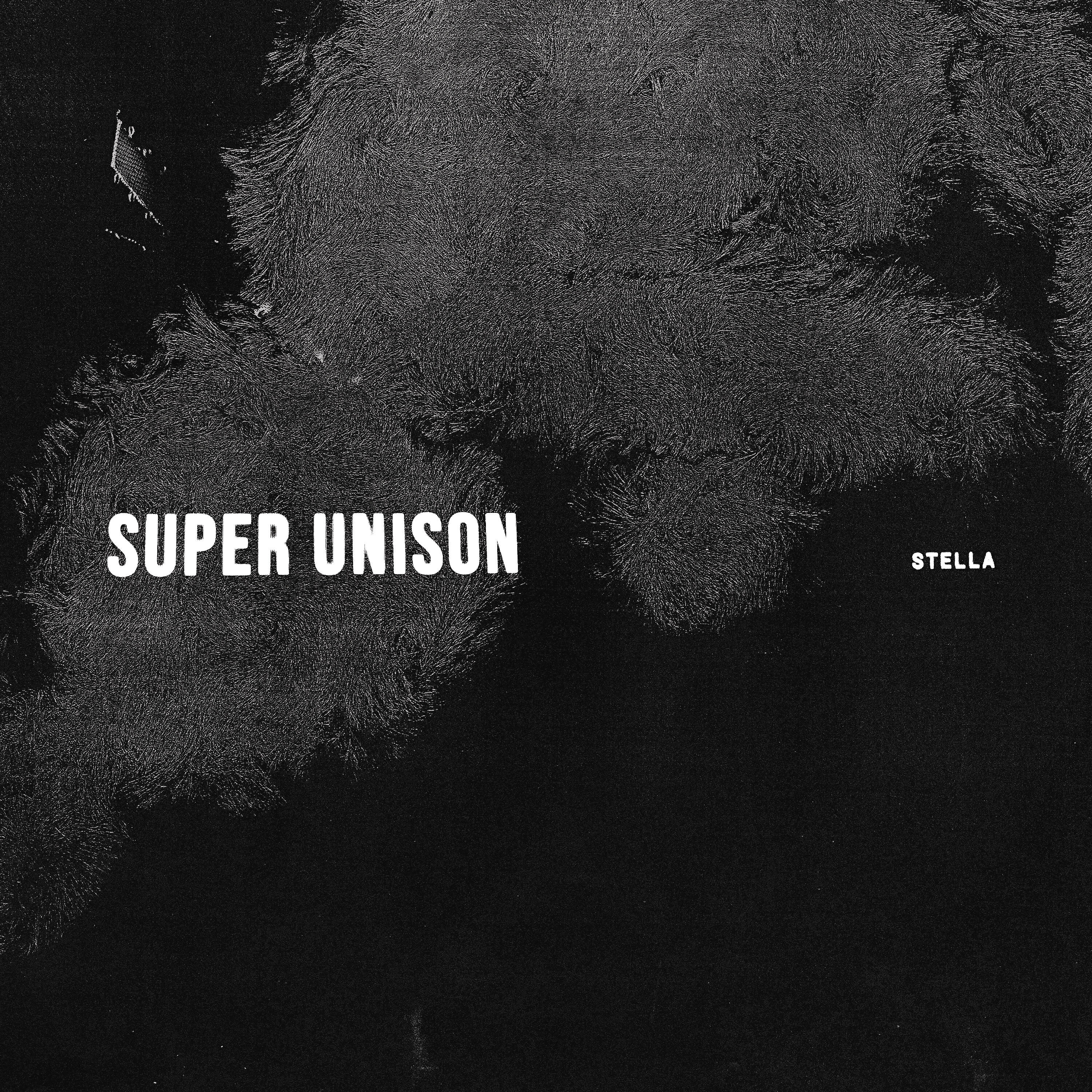 Релиз Stella
