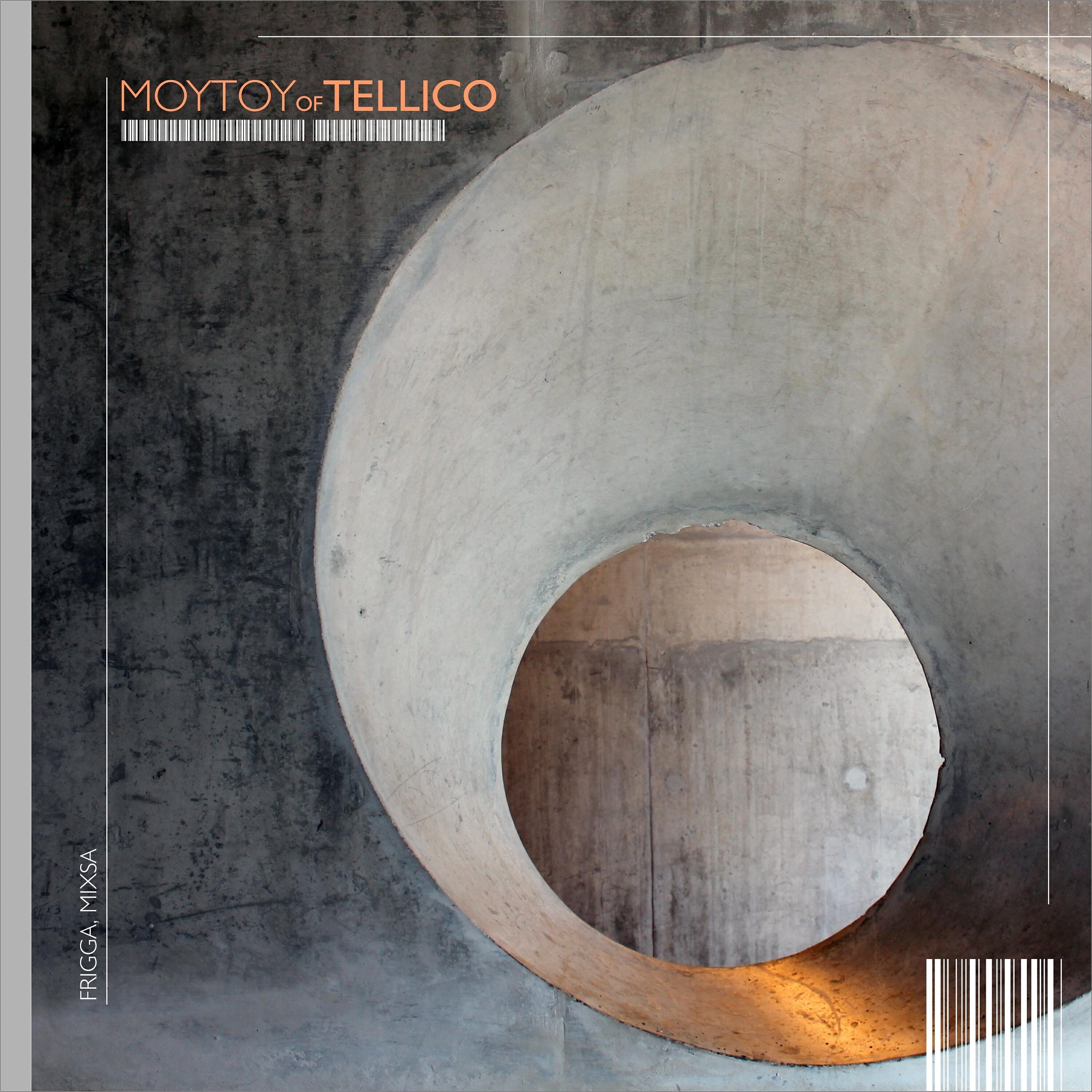 Релиз Moytoy of Tellico