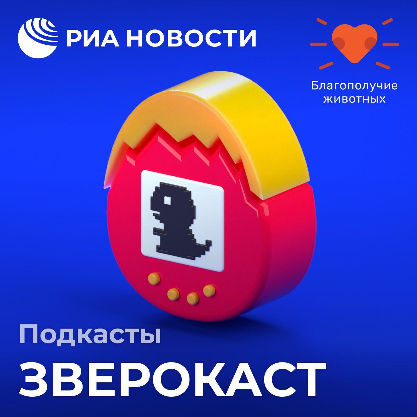 Подкаст Зверокаст