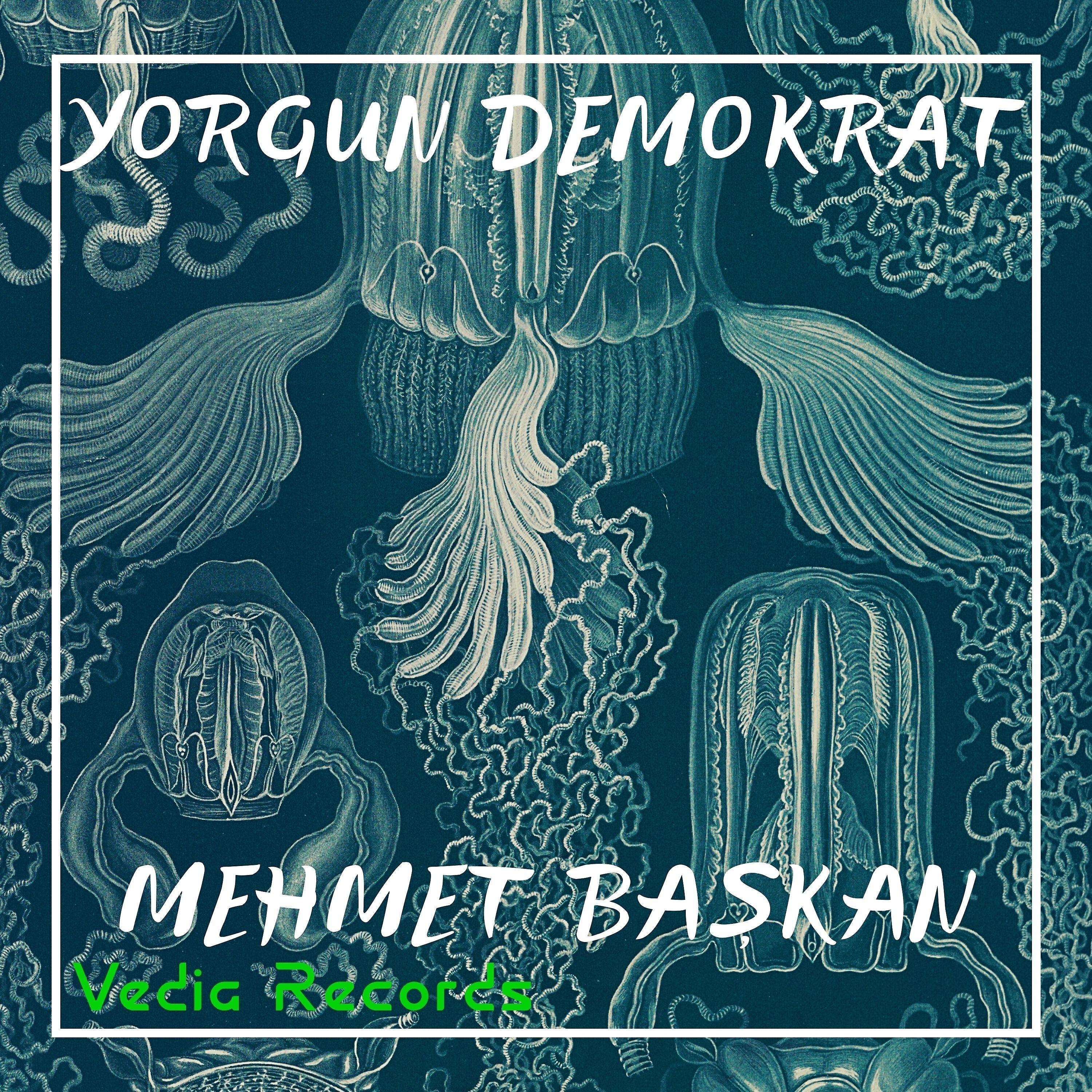 Релиз Yorgun Demokrat